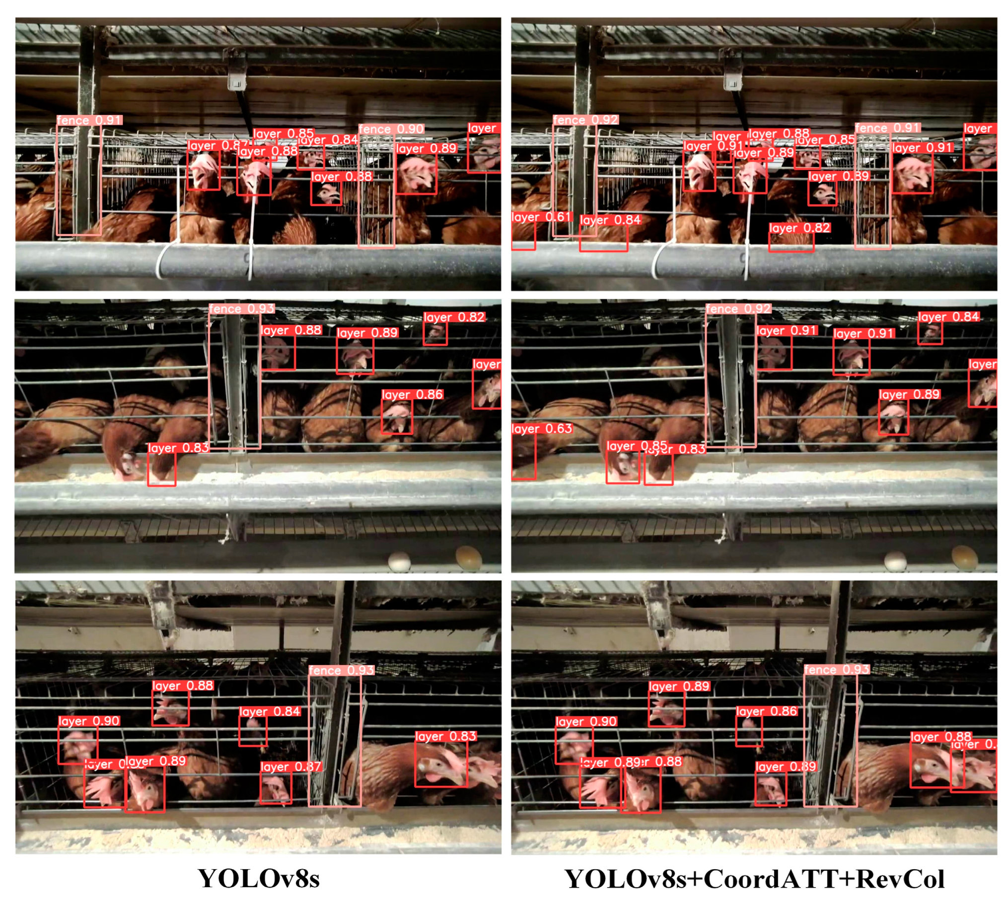 Animals 15 00853 g009