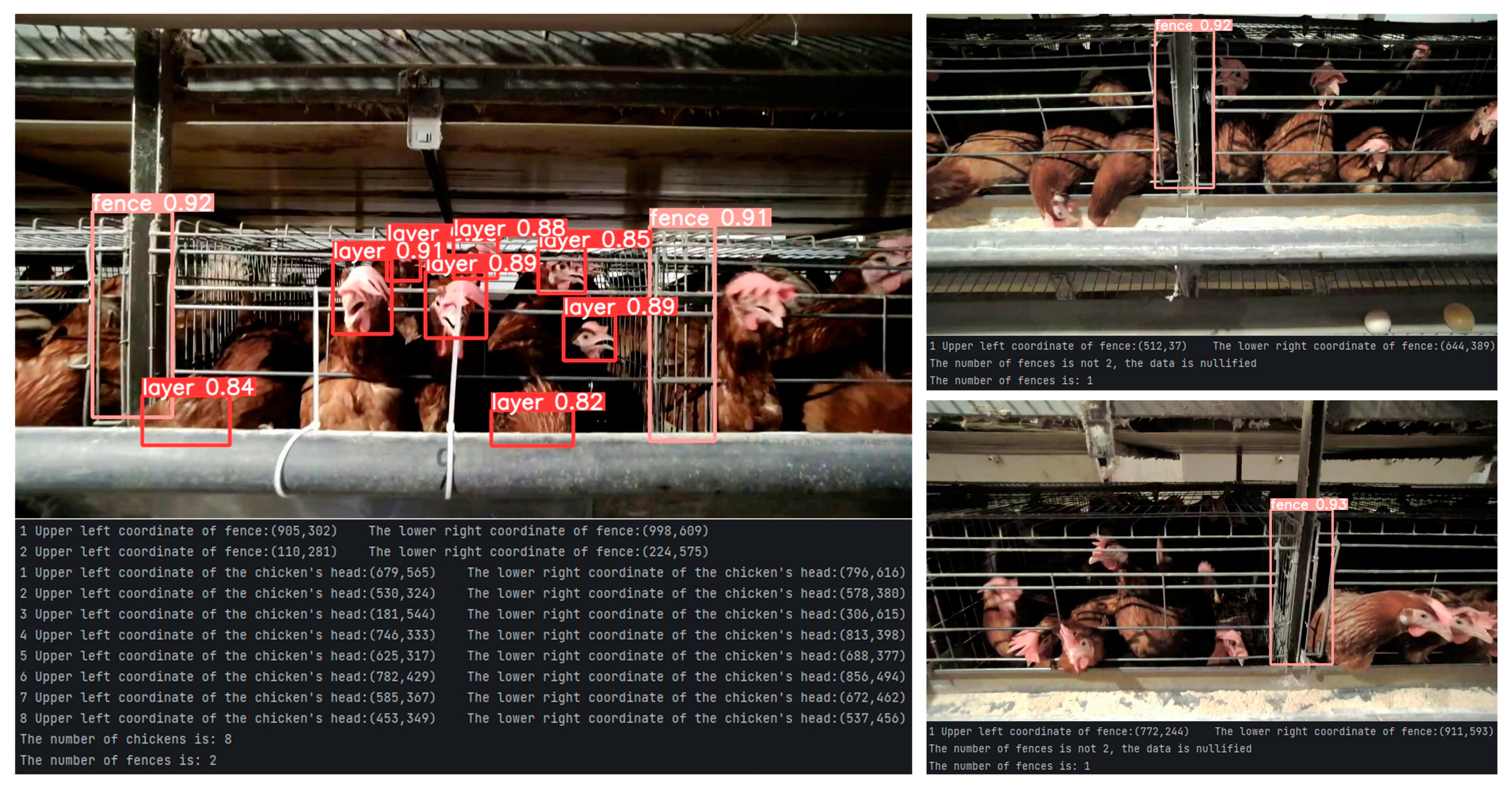 Animals 15 00853 g011