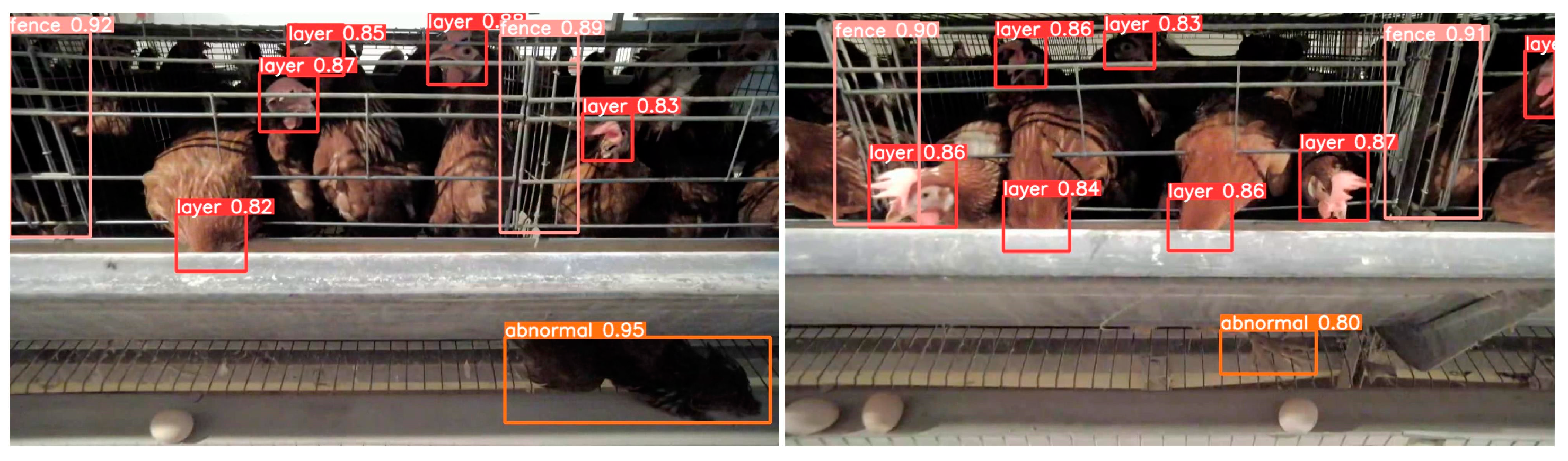 Animals 15 00853 g012