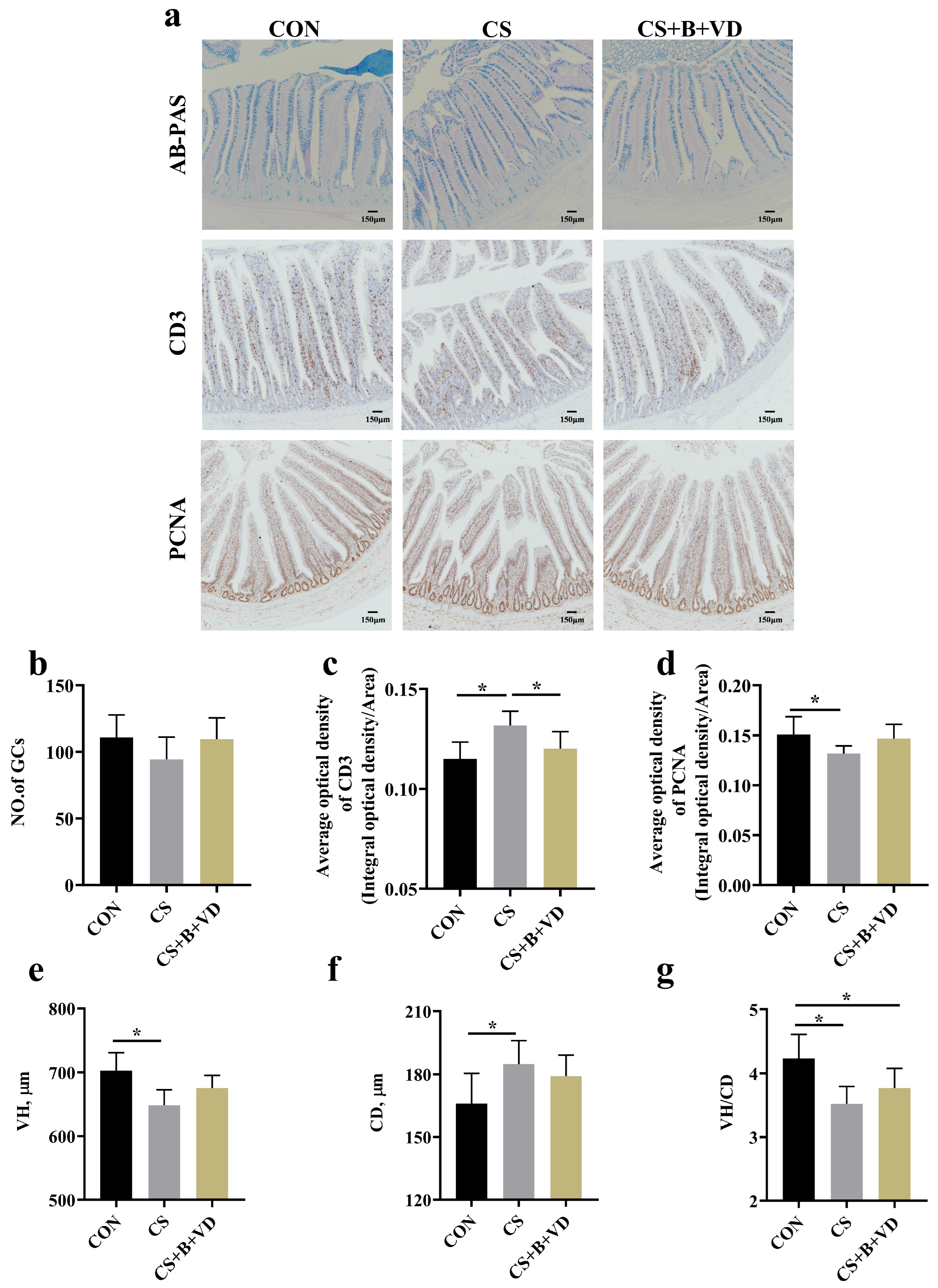 Animals 15 00861 g001