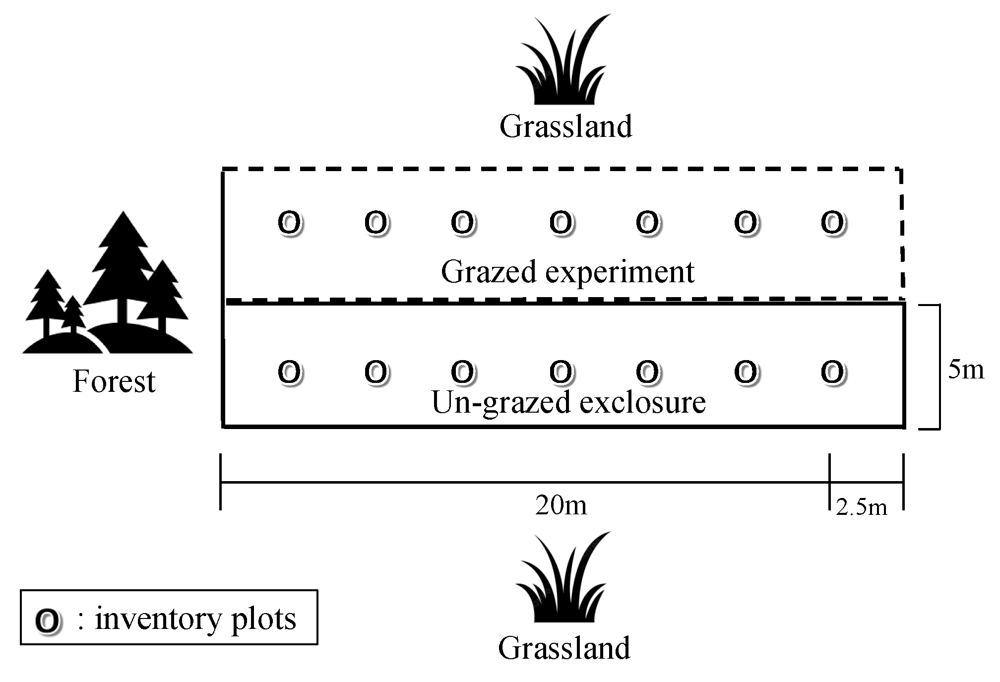 Animals 15 00862 g002