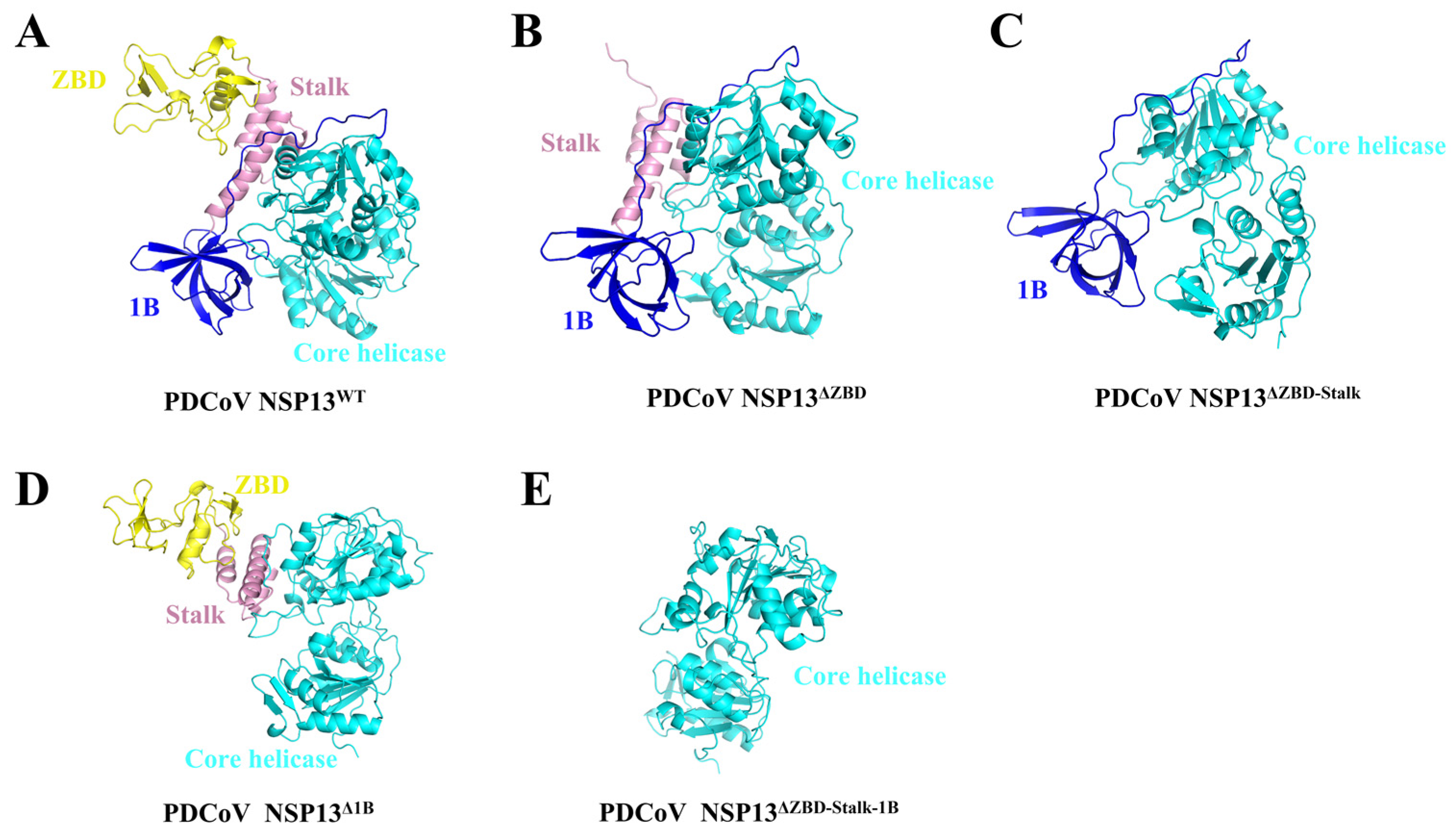 Animals 15 00865 g002