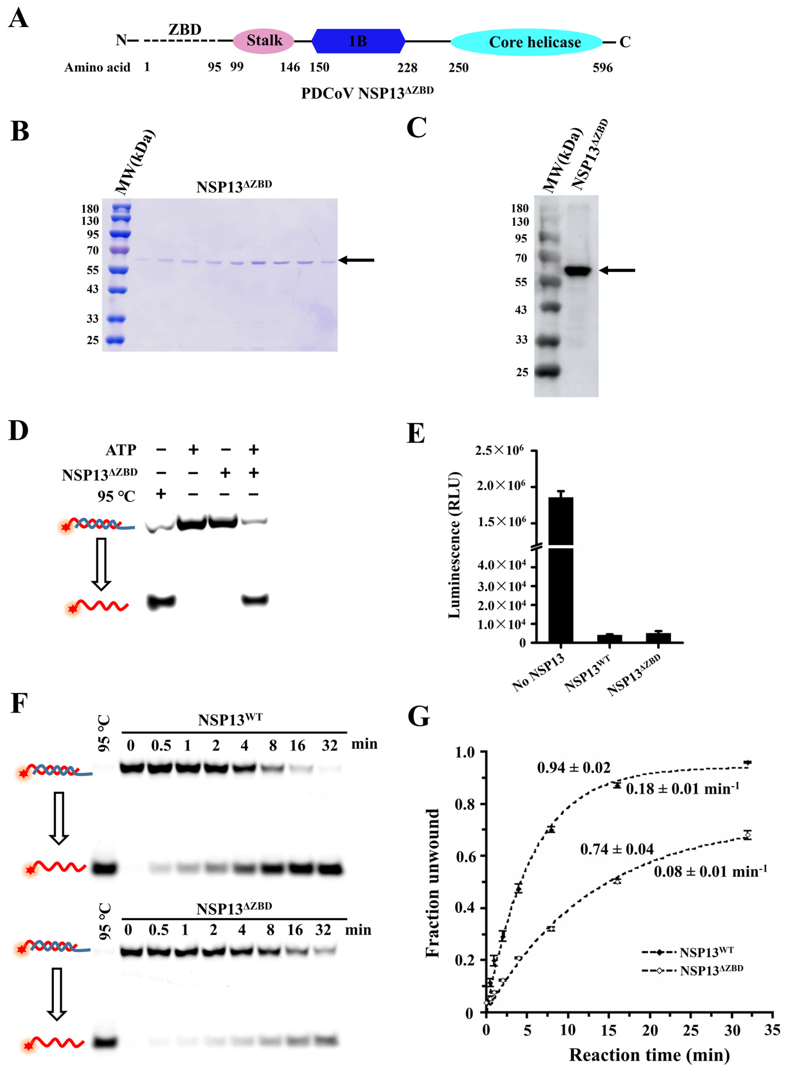 Animals 15 00865 g004