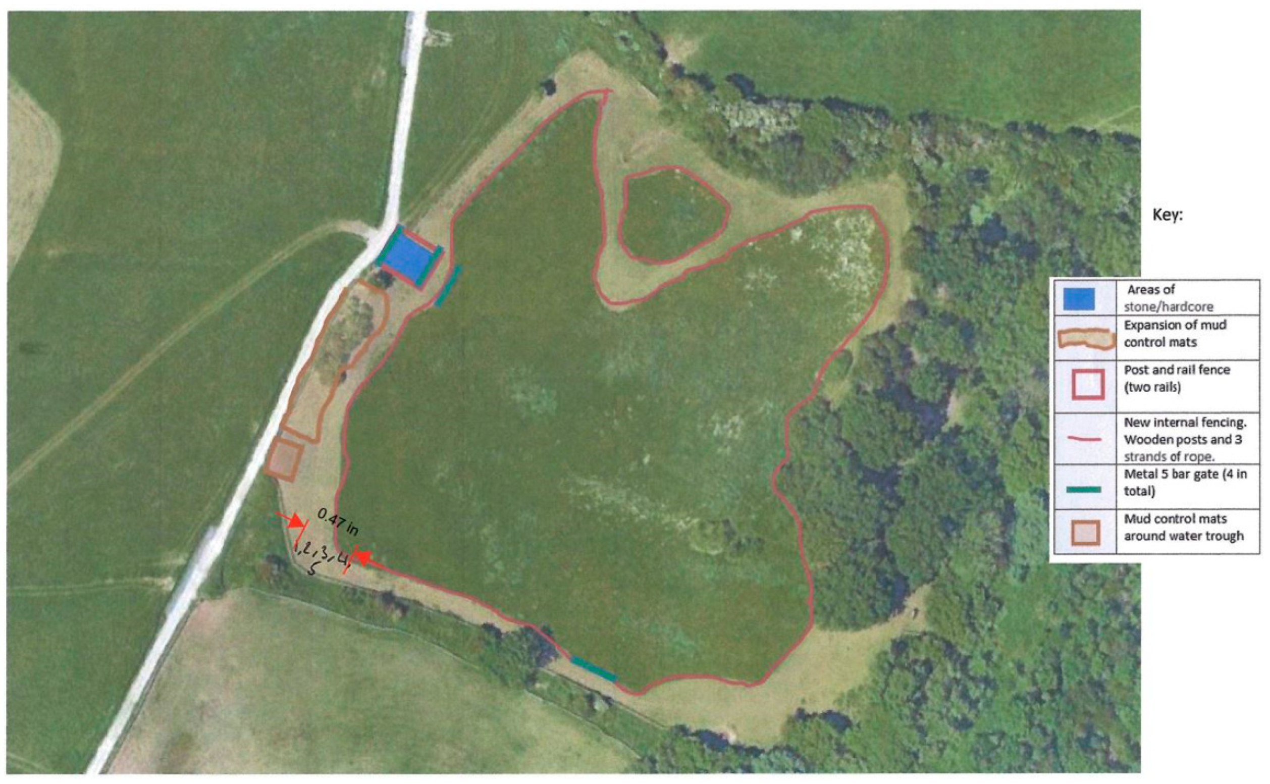 Animals 15 00874 g001