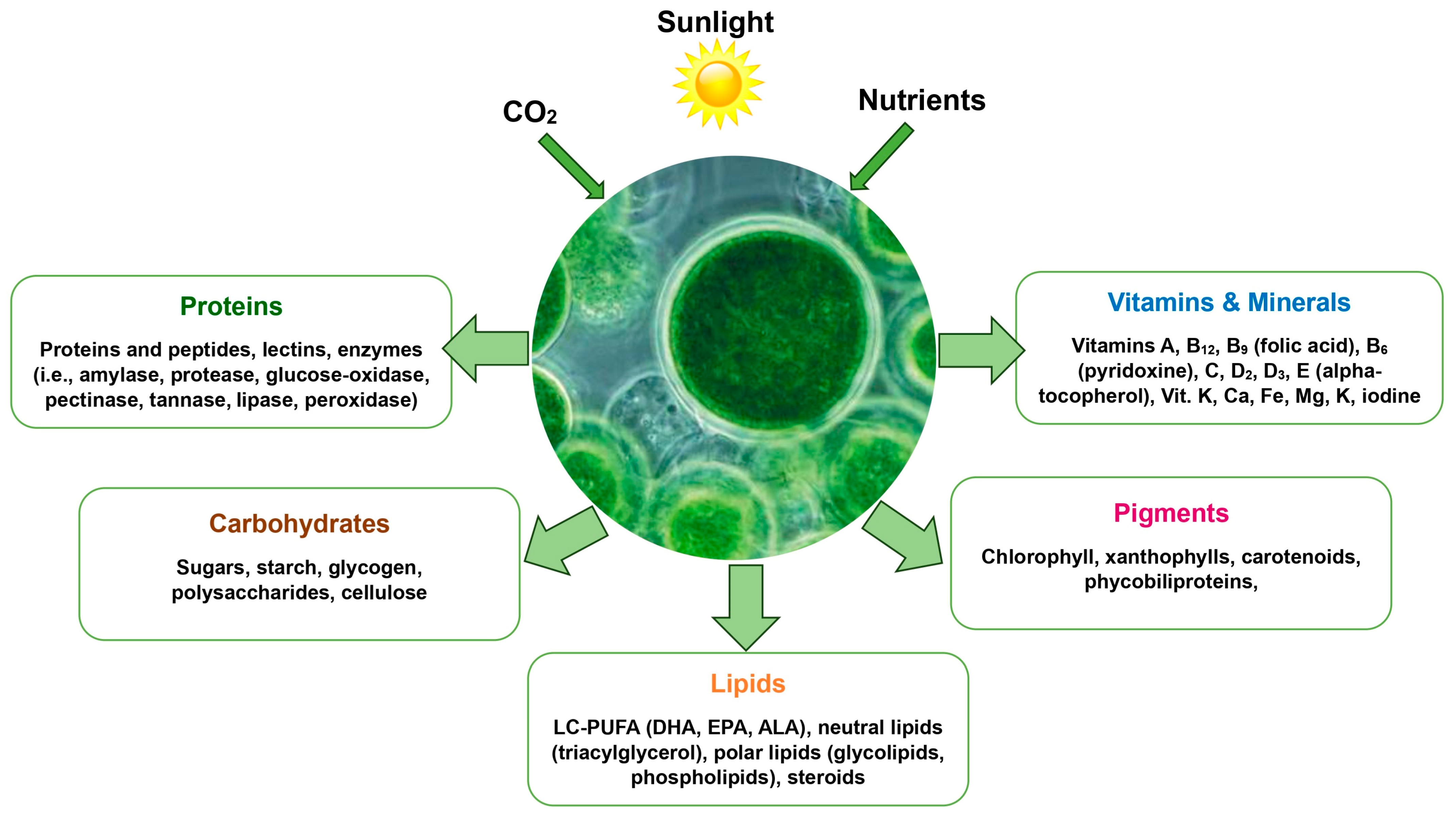 Animals 15 00879 g001