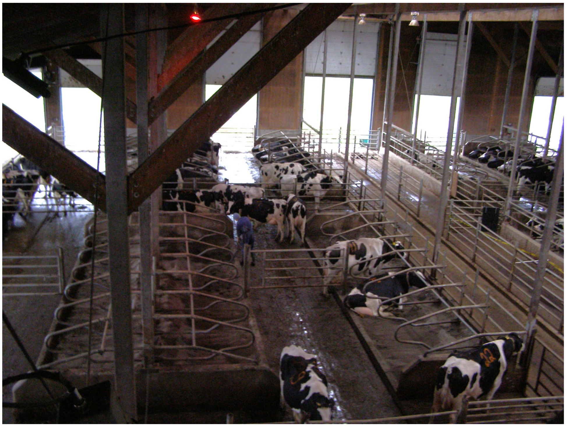 Animals 15 00880 g001