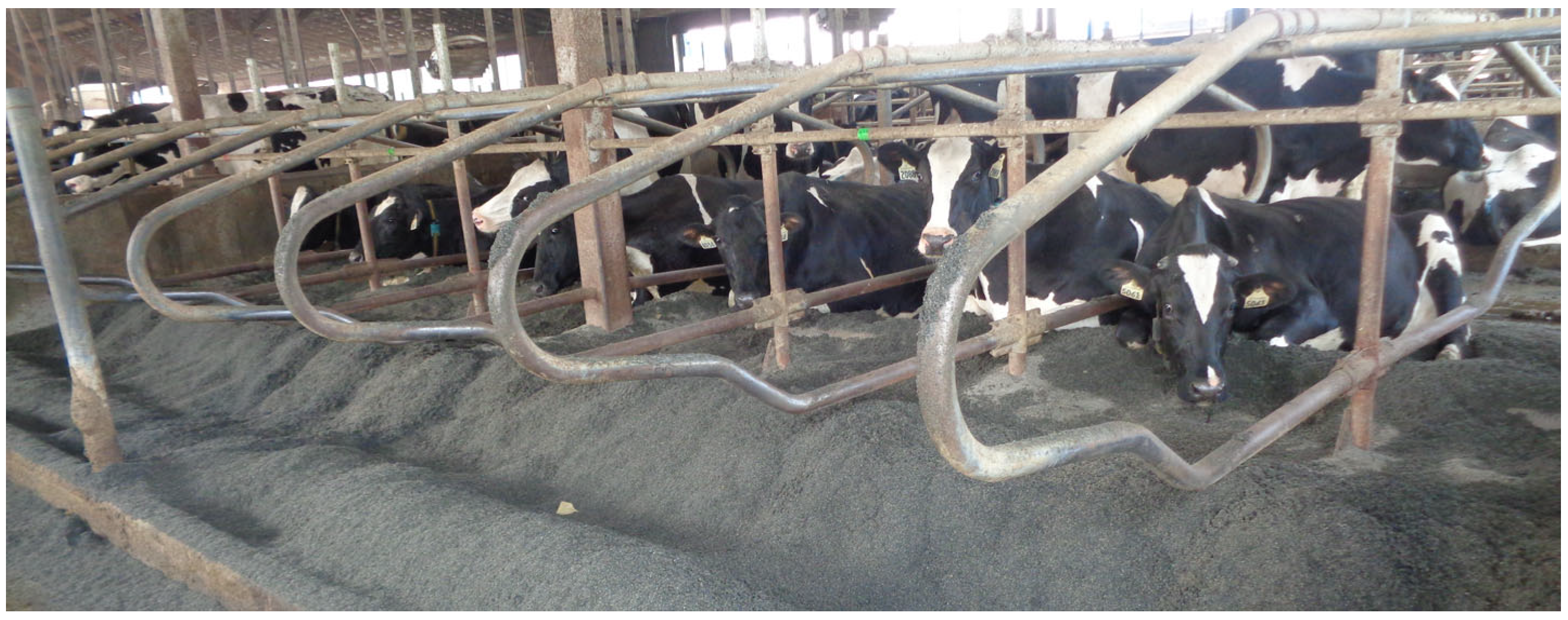 Animals 15 00880 g004