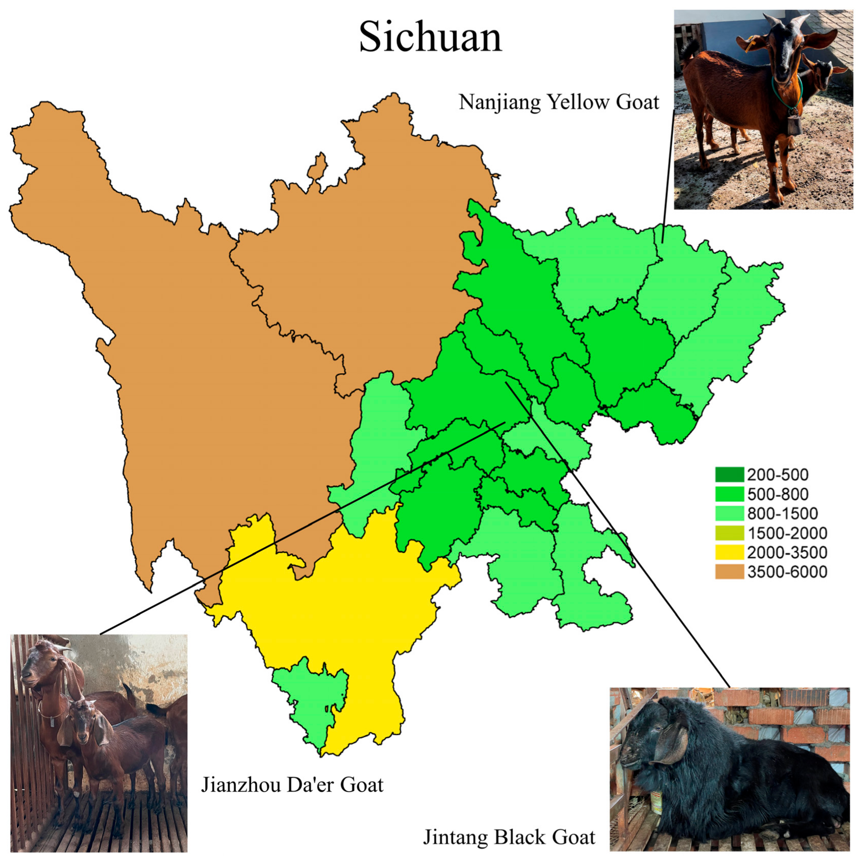 Animals 15 00887 g001