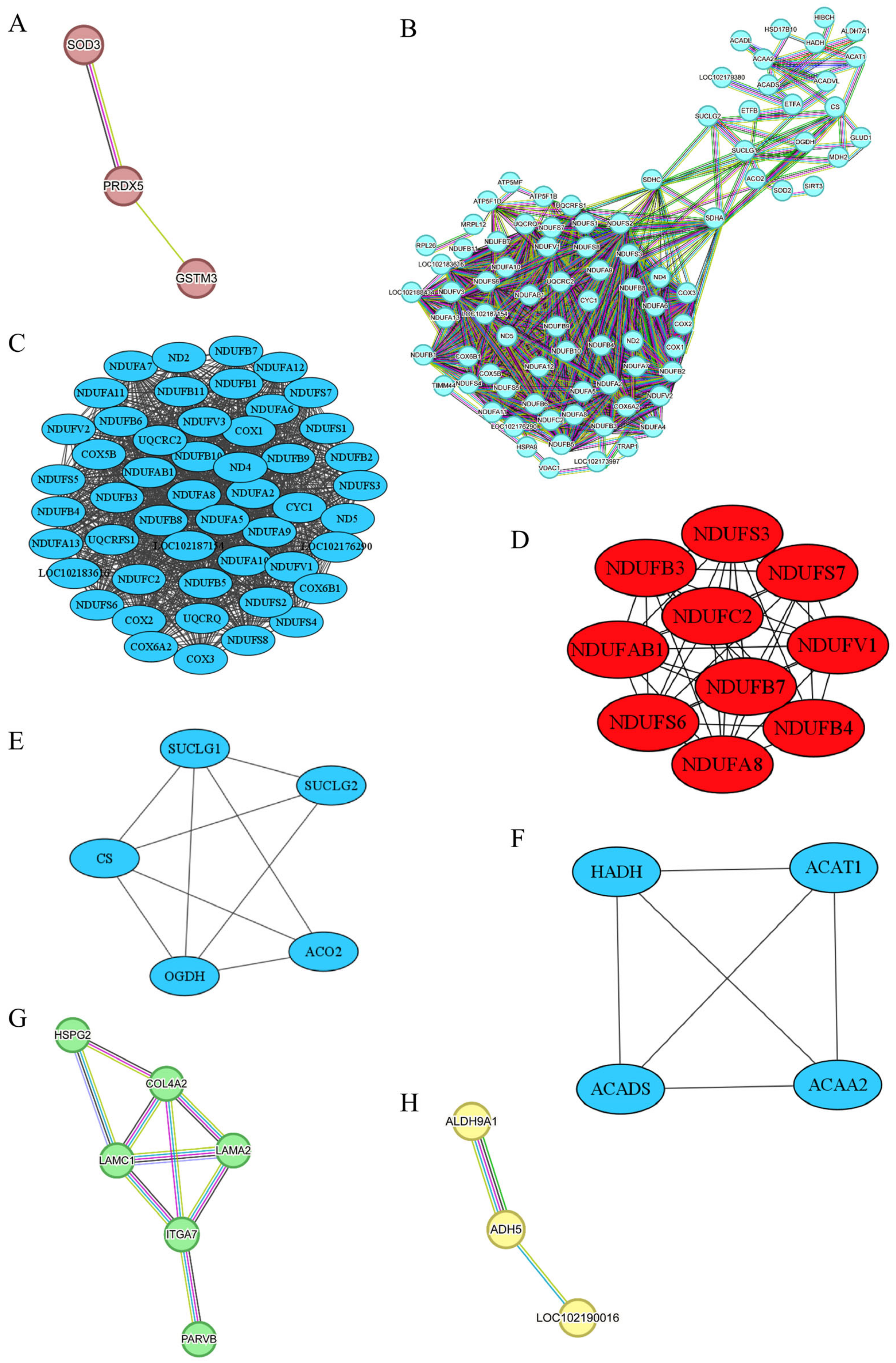 Animals 15 00887 g007