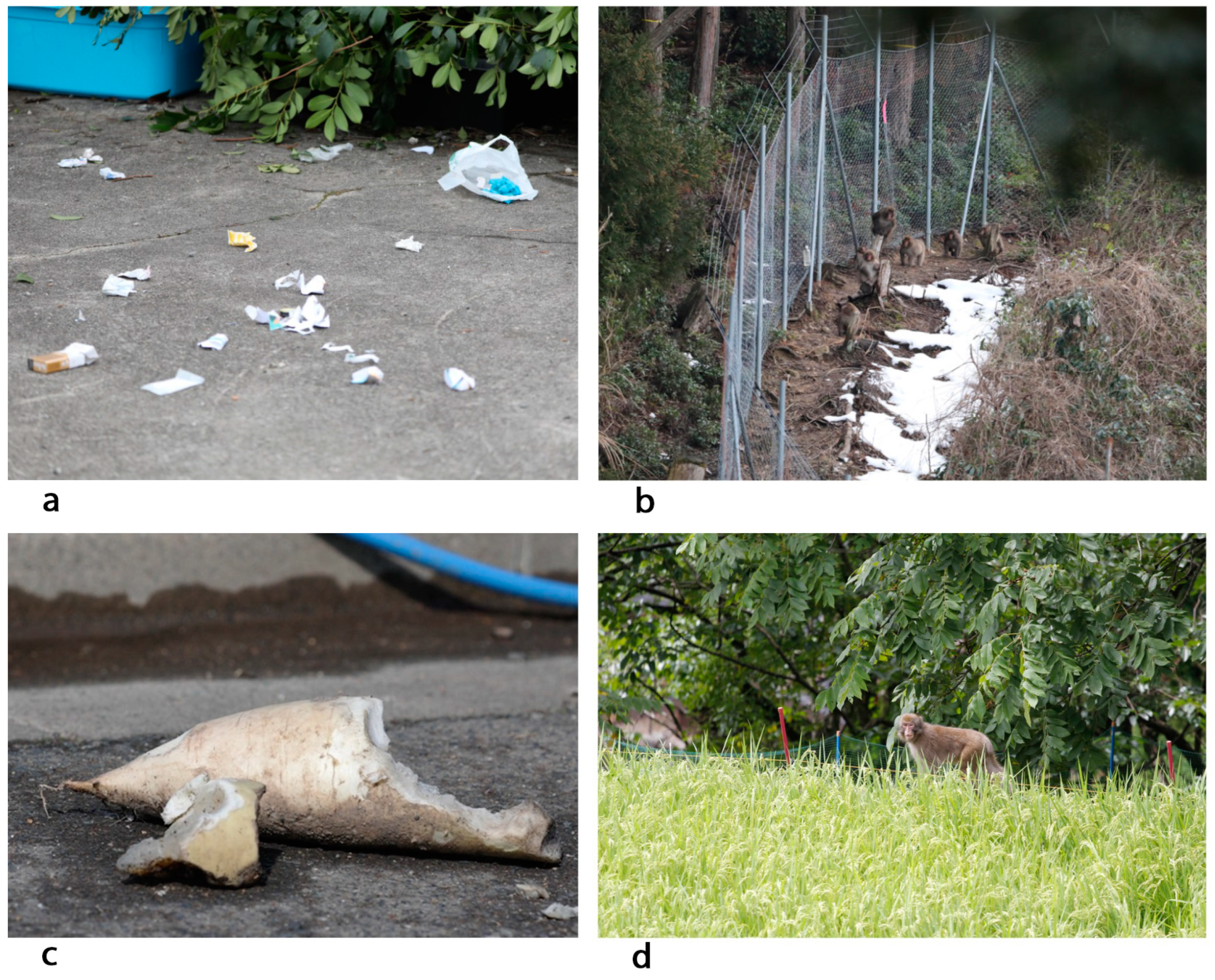 Animals 15 00888 g002