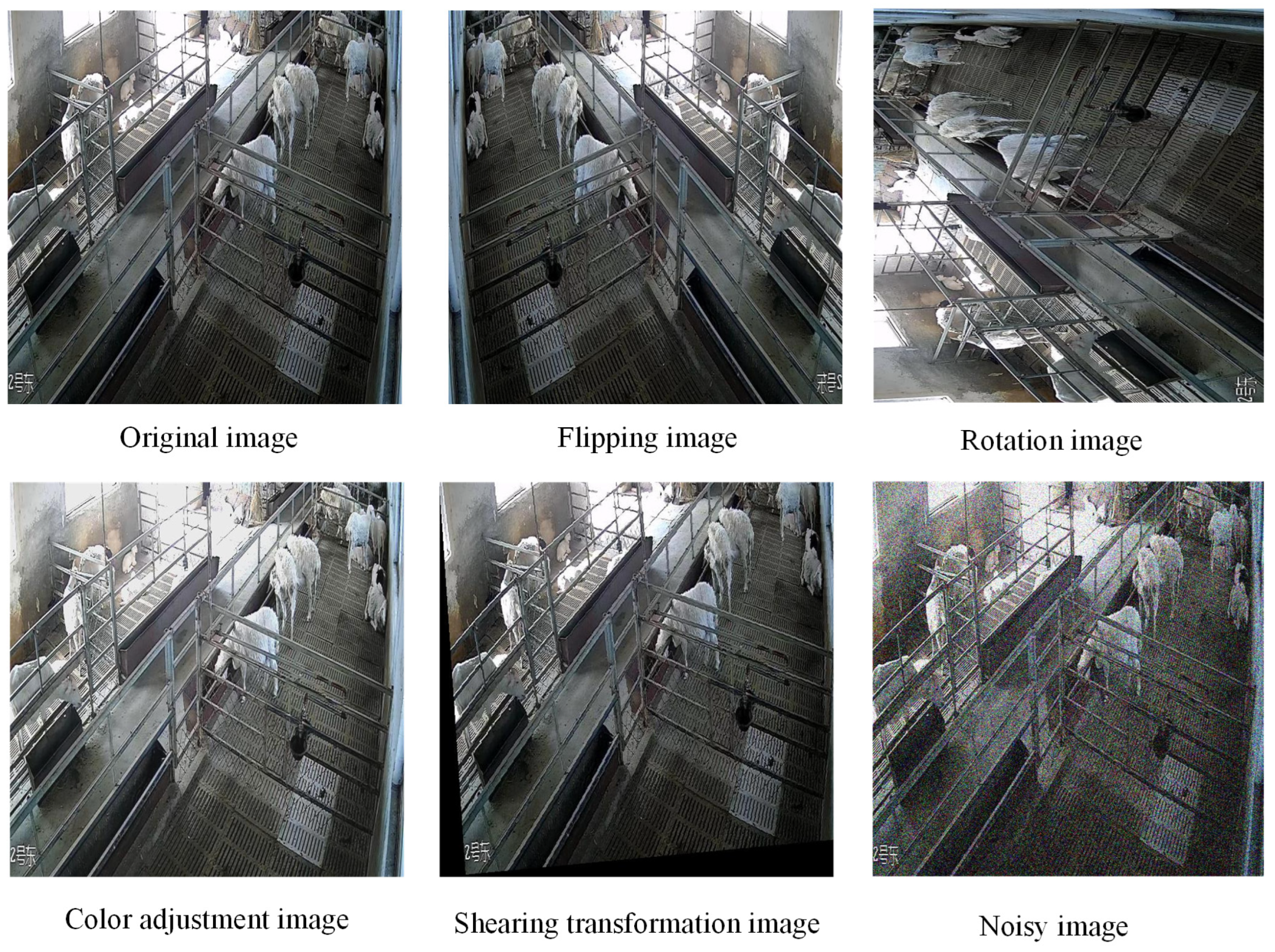 Animals 15 00893 g003