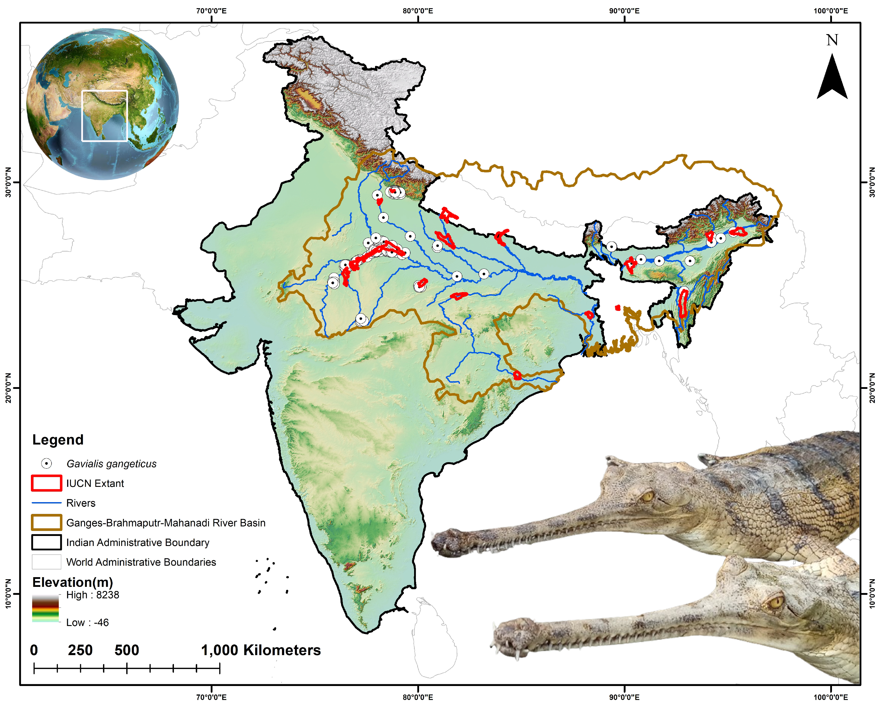 Animals 15 00896 g001