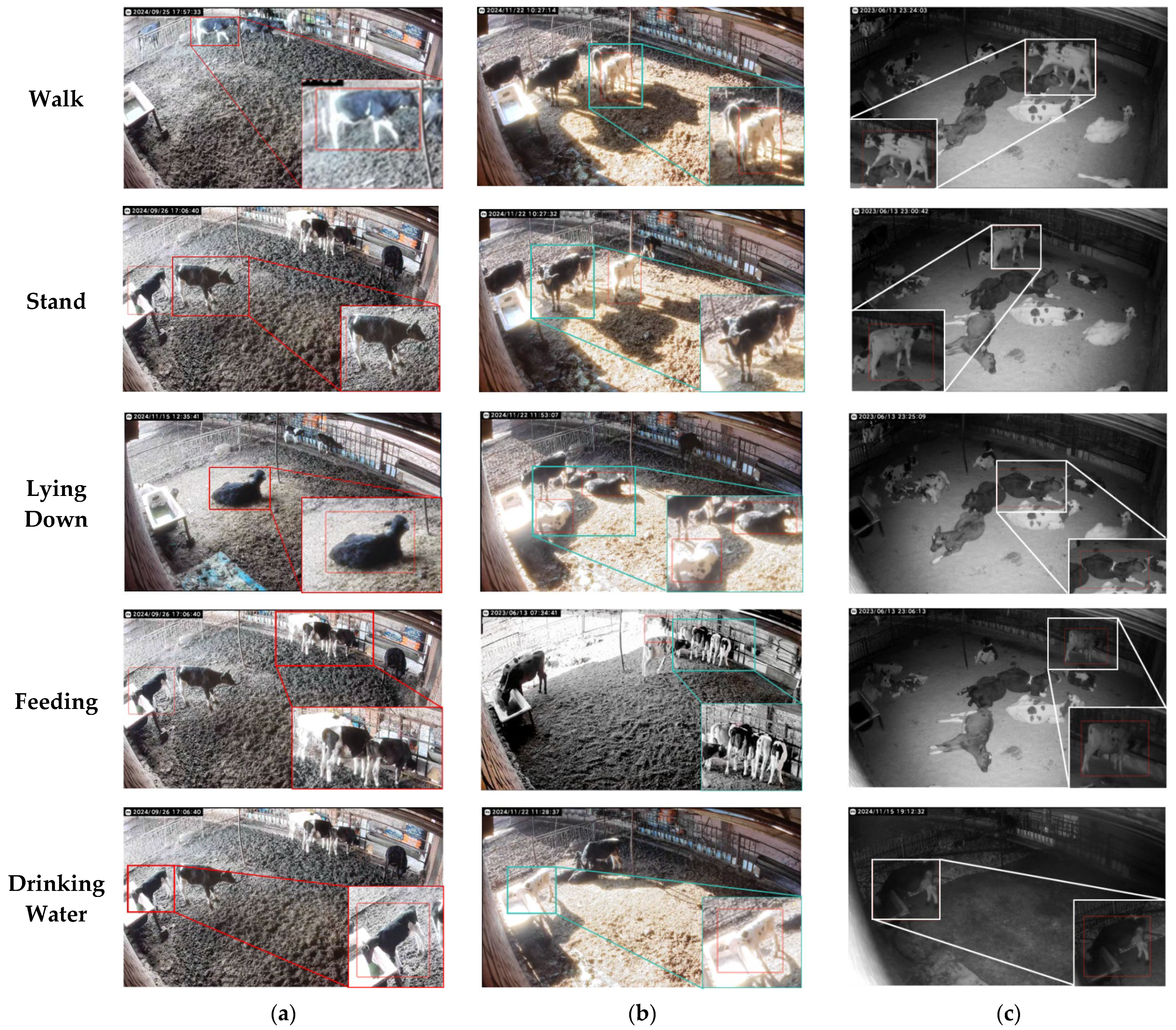 Animals 15 00898 g002