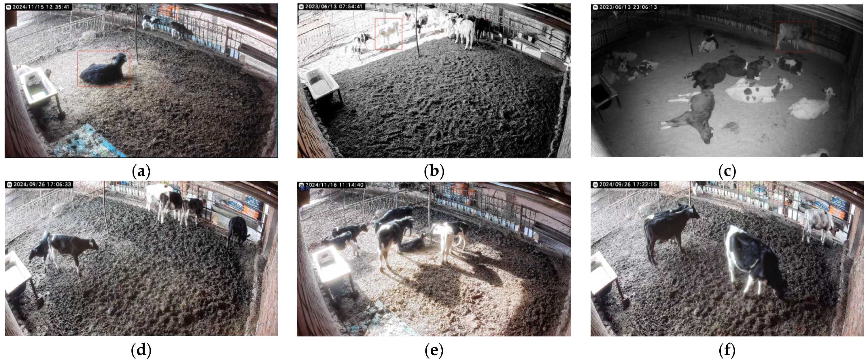 Animals 15 00898 g009