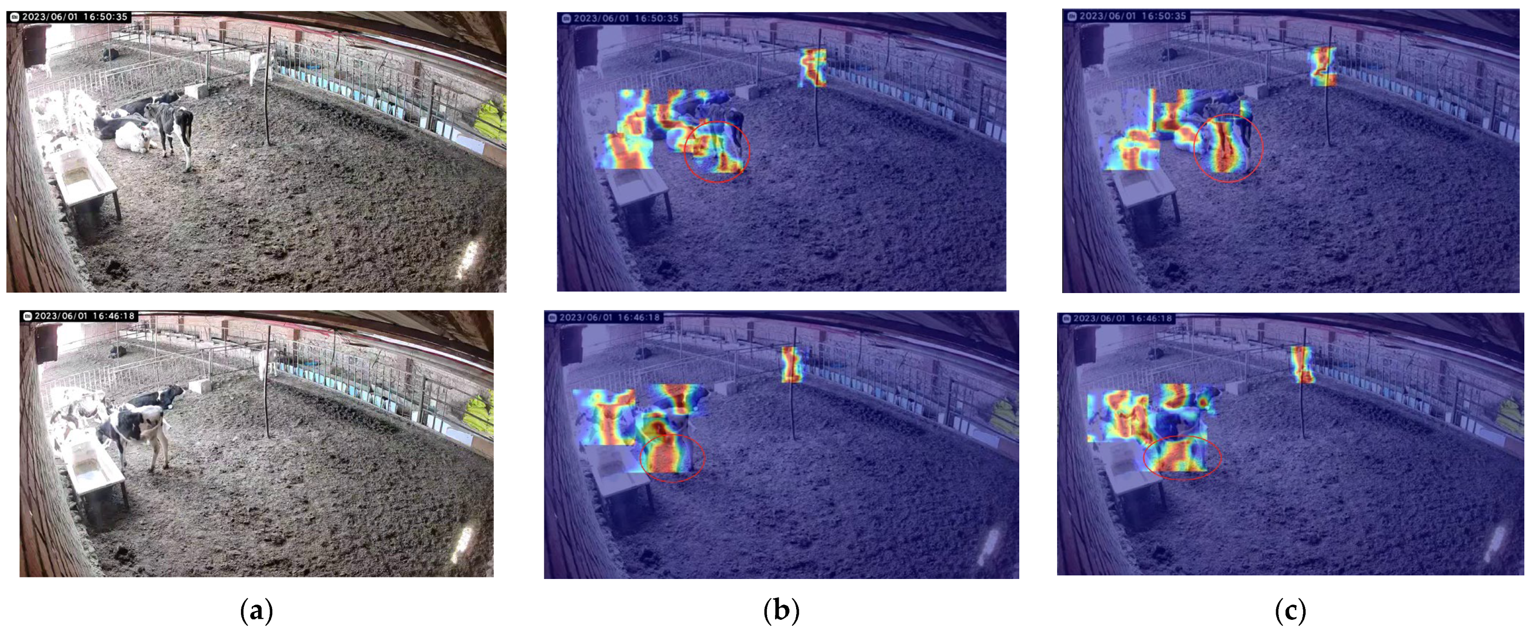 Animals 15 00898 g010