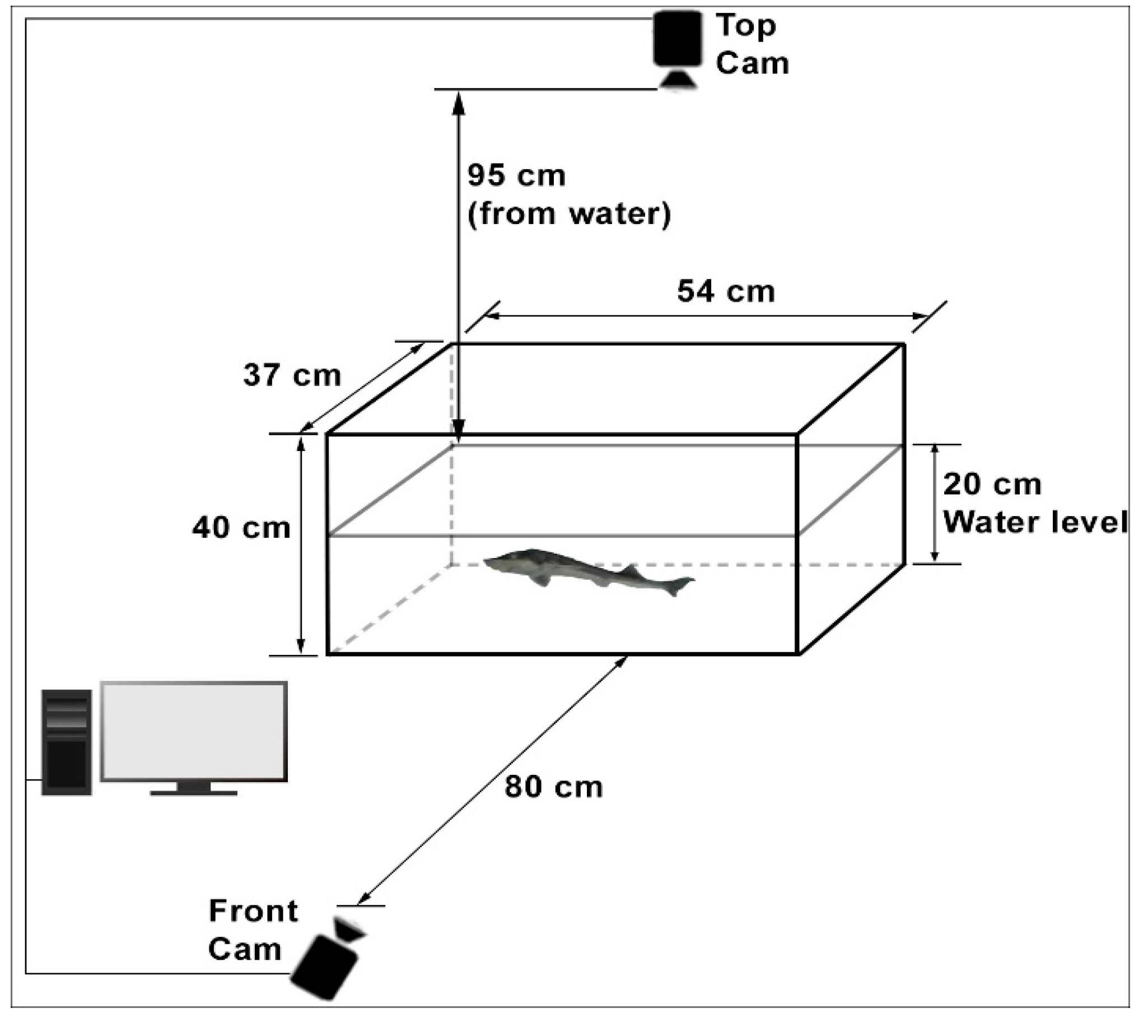Animals 15 00900 g001