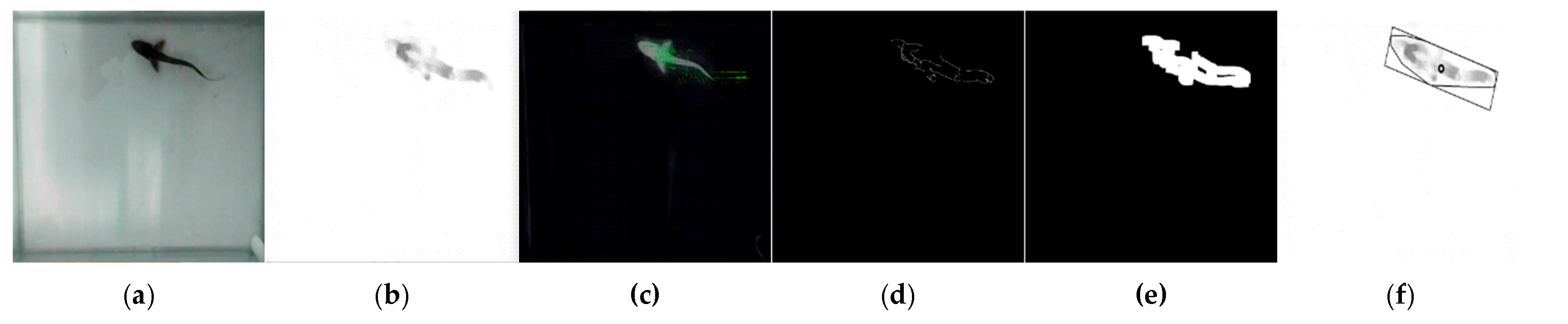Animals 15 00900 g002