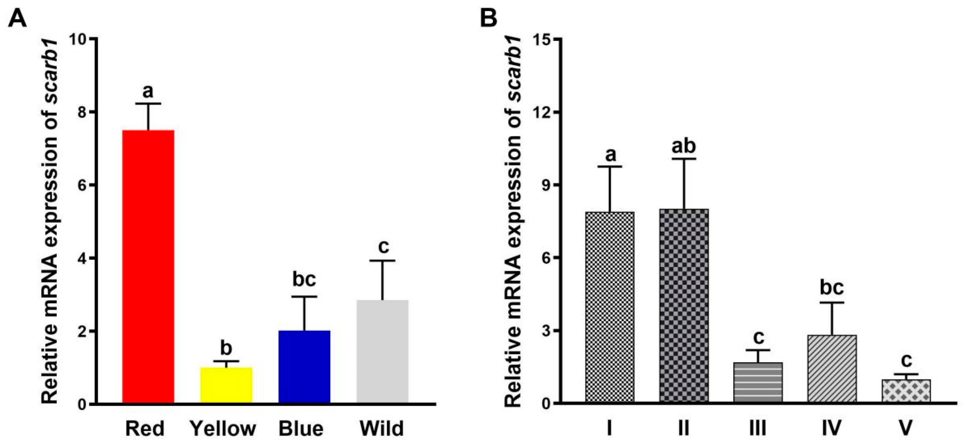 Animals 15 00901 g001