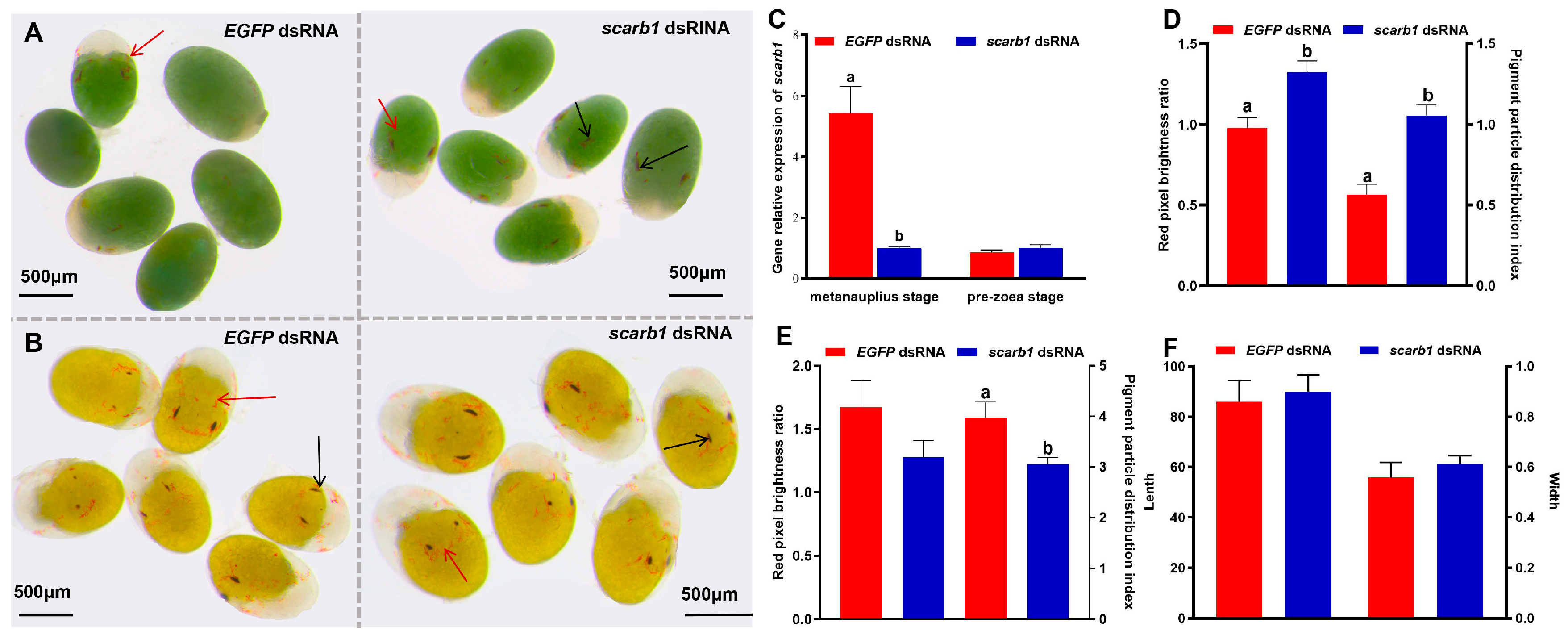 Animals 15 00901 g002