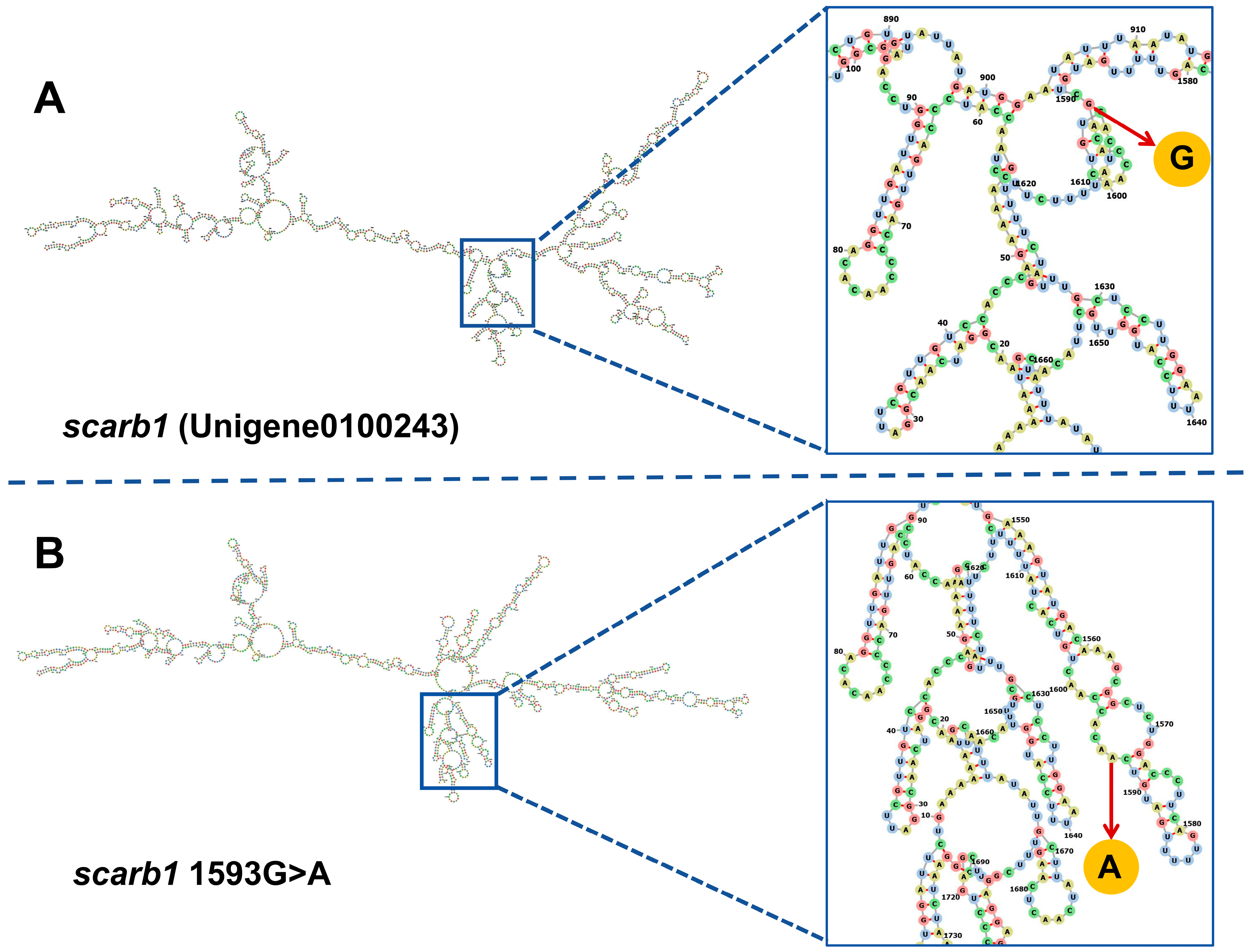 Animals 15 00901 g005