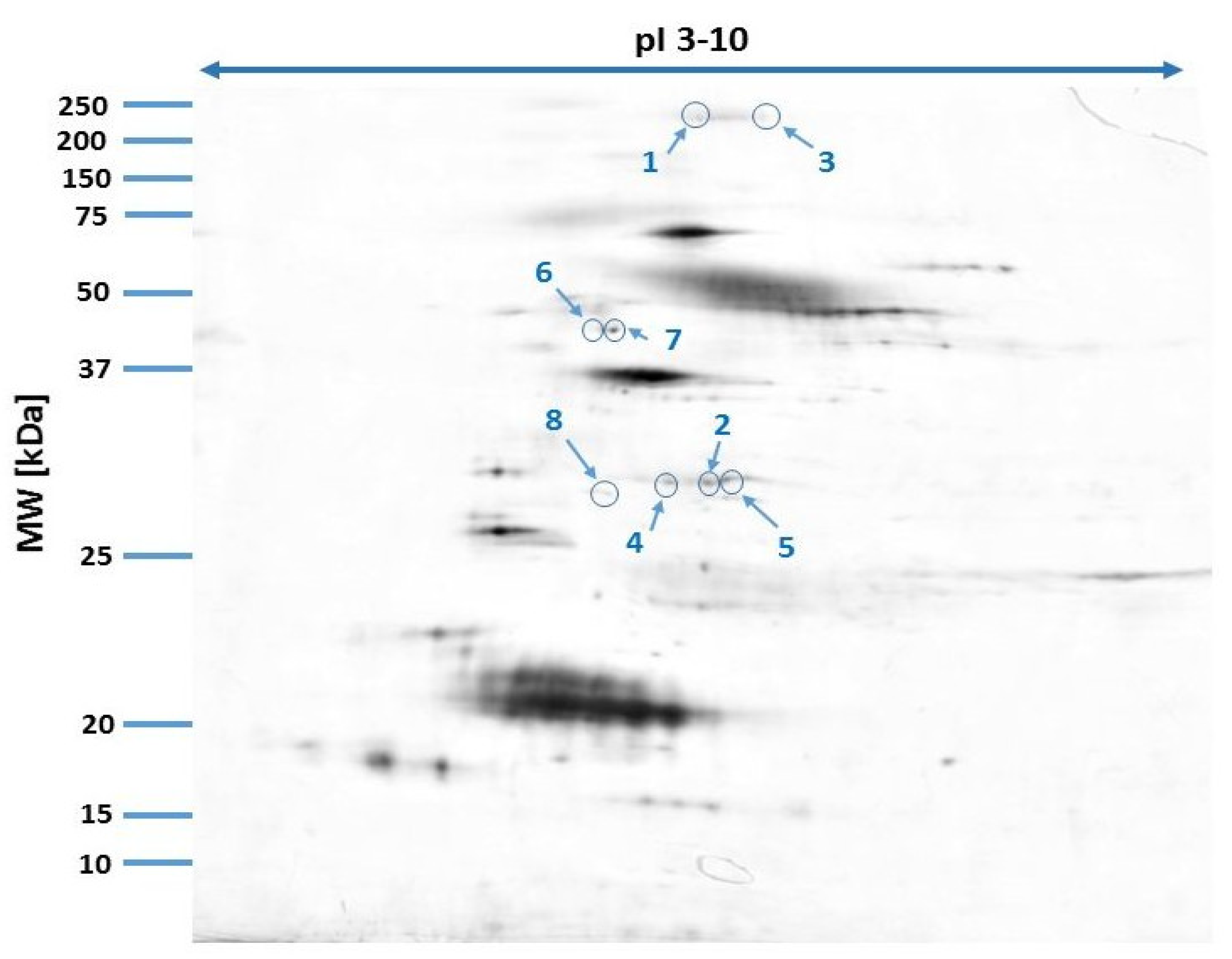 Animals 15 00904 g002