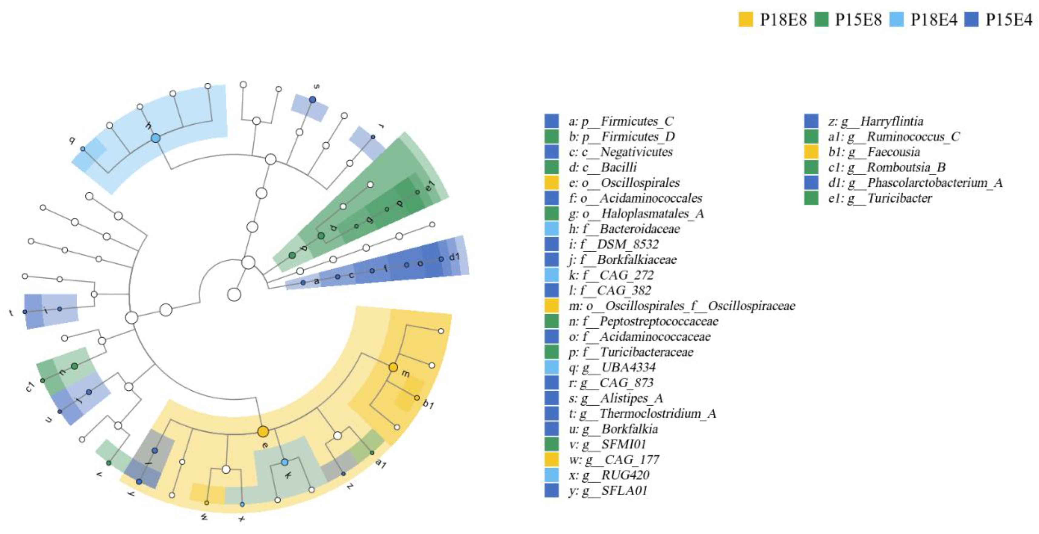 Animals 15 00908 g002