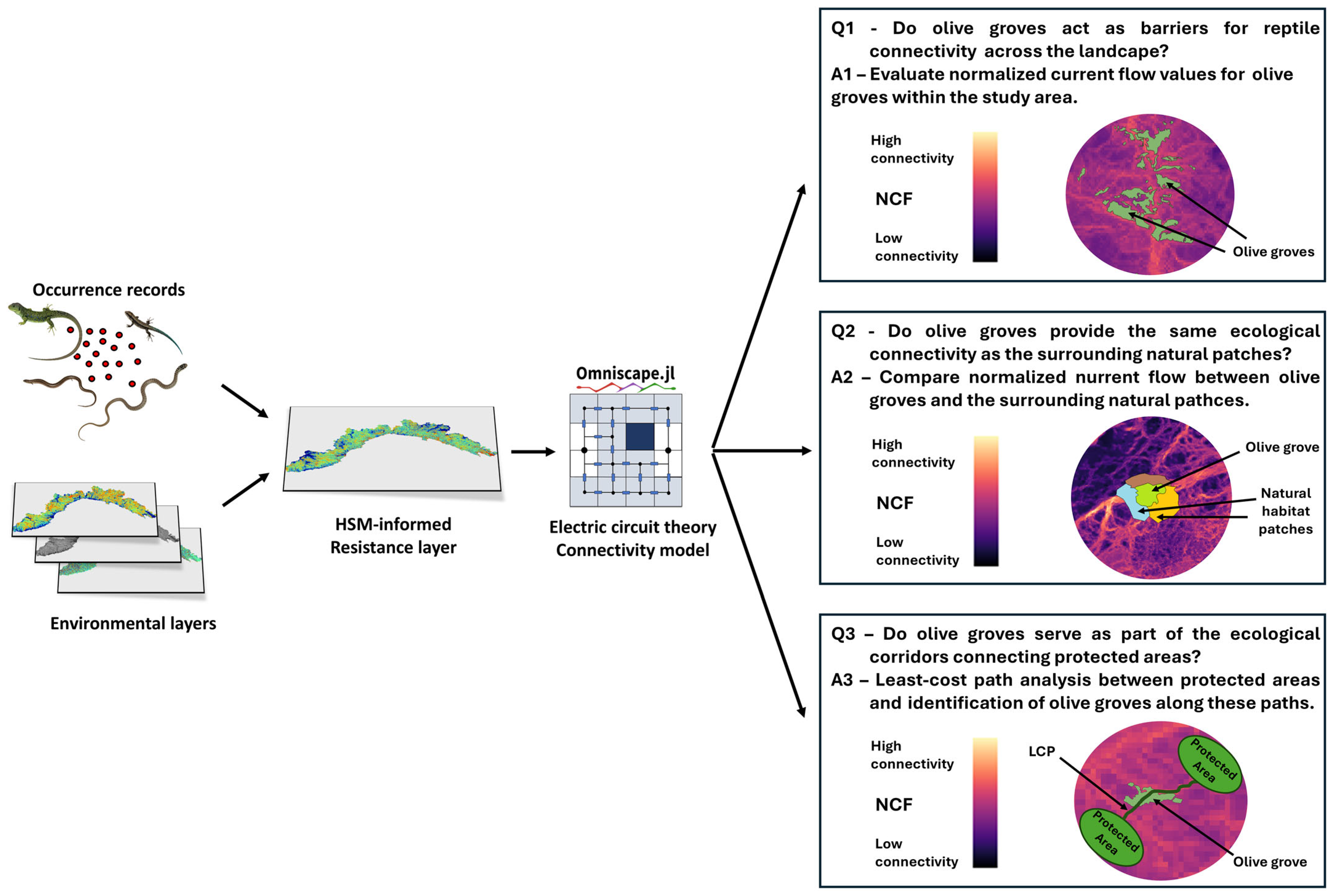 Animals 15 00909 g001