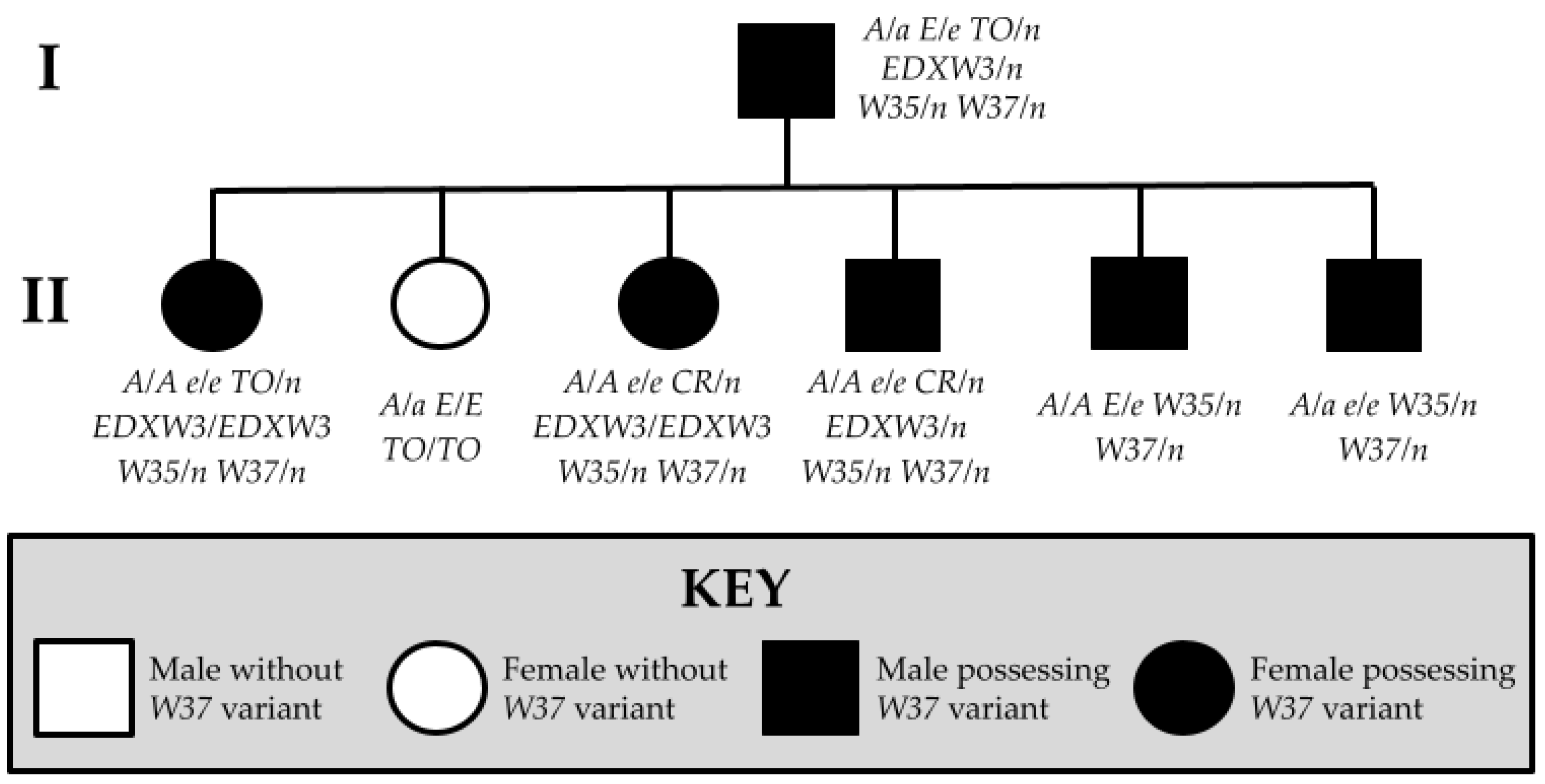 Animals 15 00915 g001