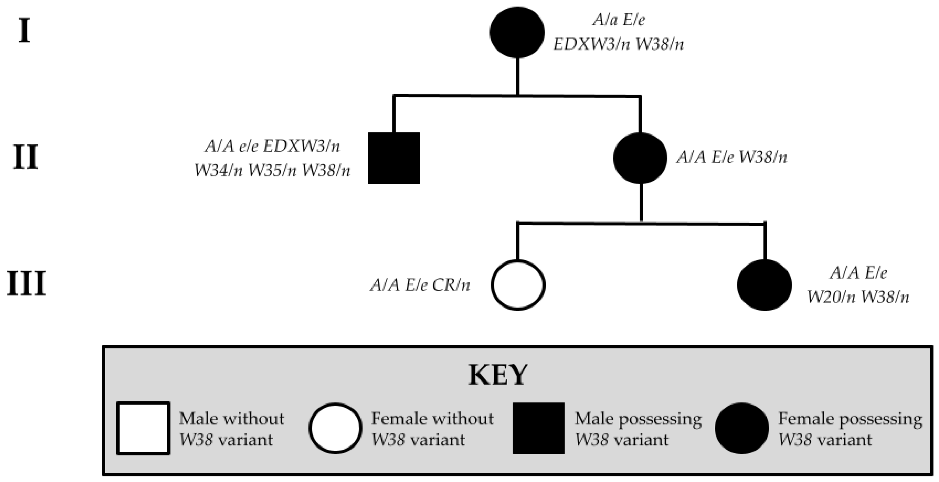Animals 15 00915 g002