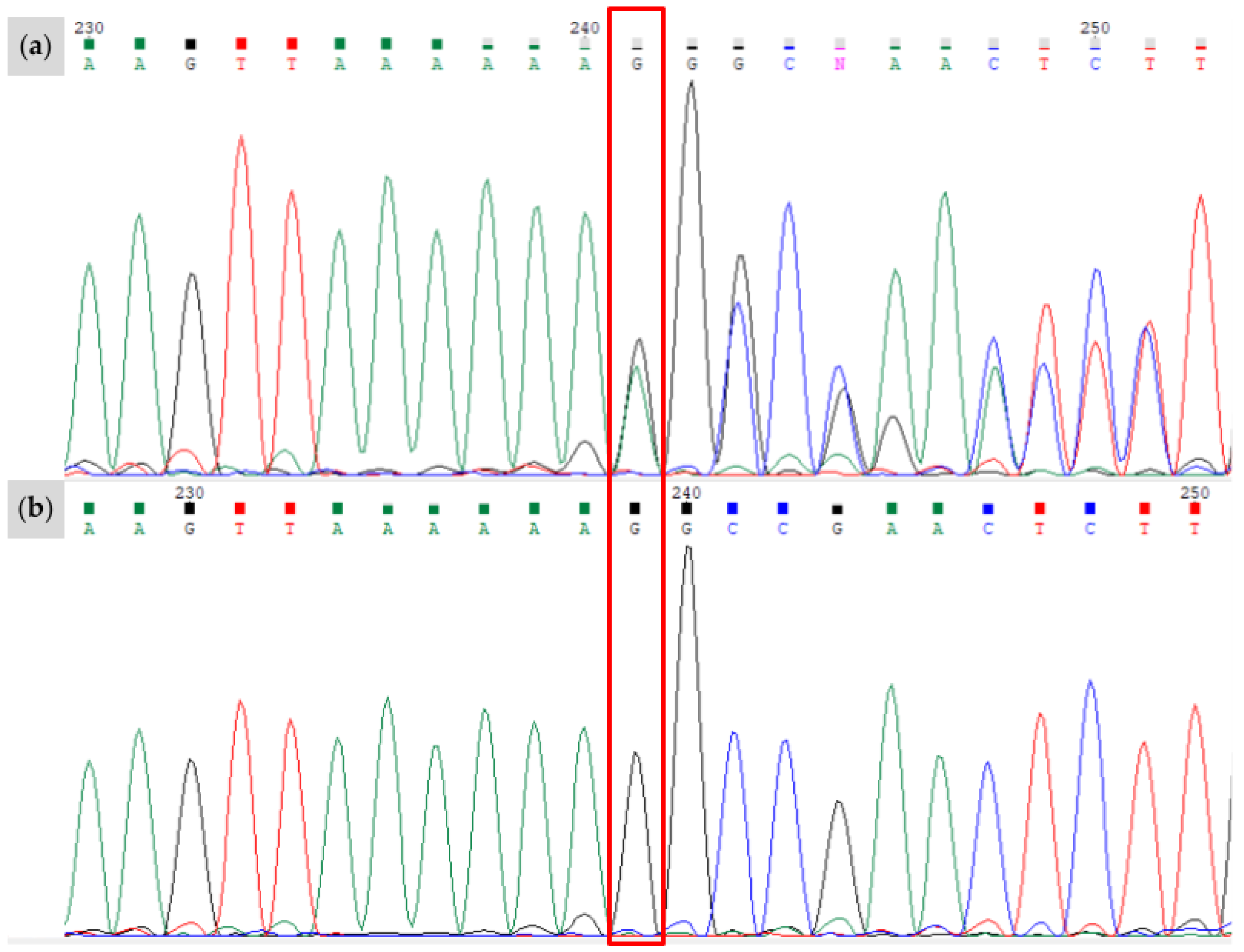 Animals 15 00915 g003