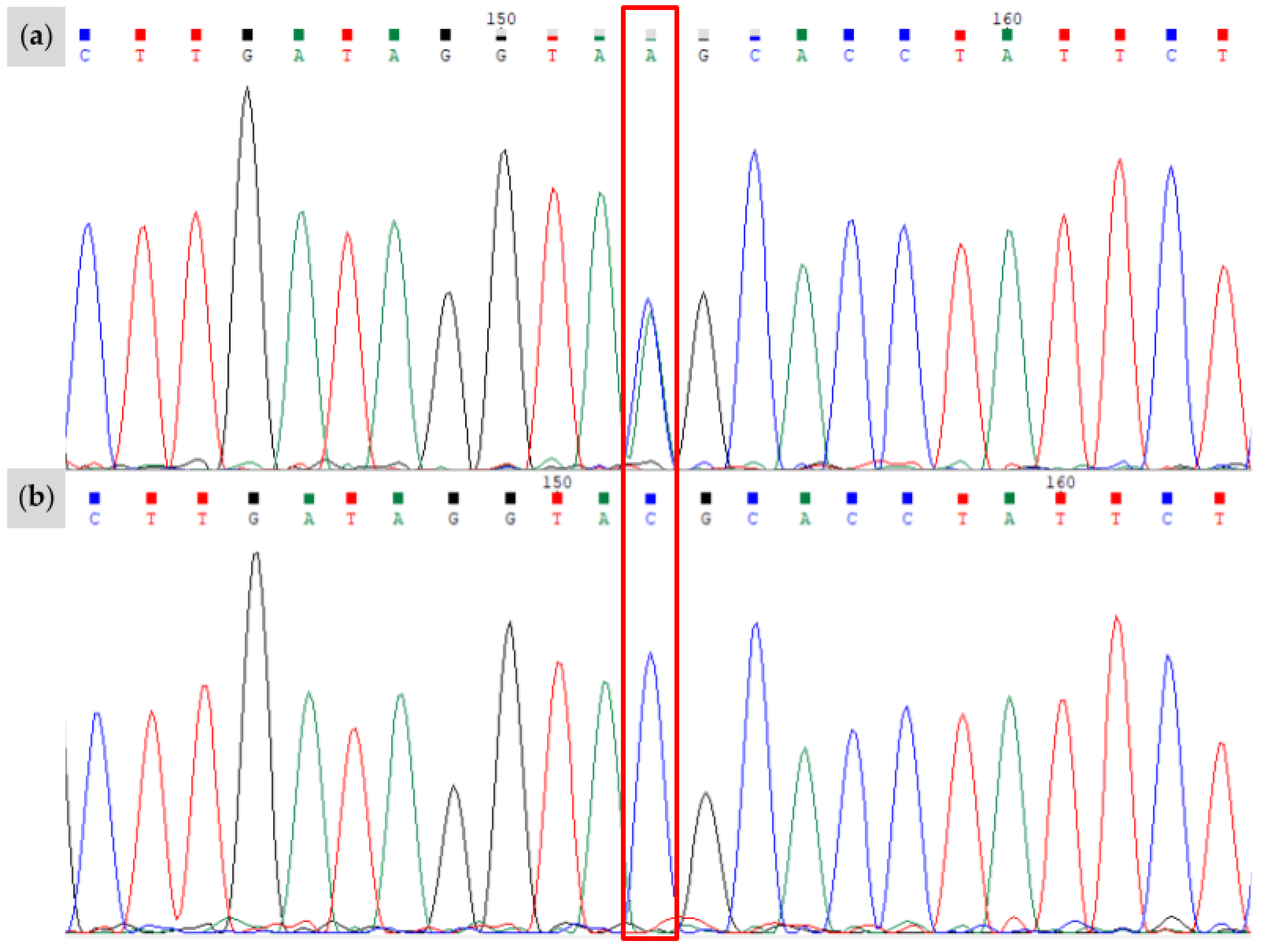 Animals 15 00915 g005