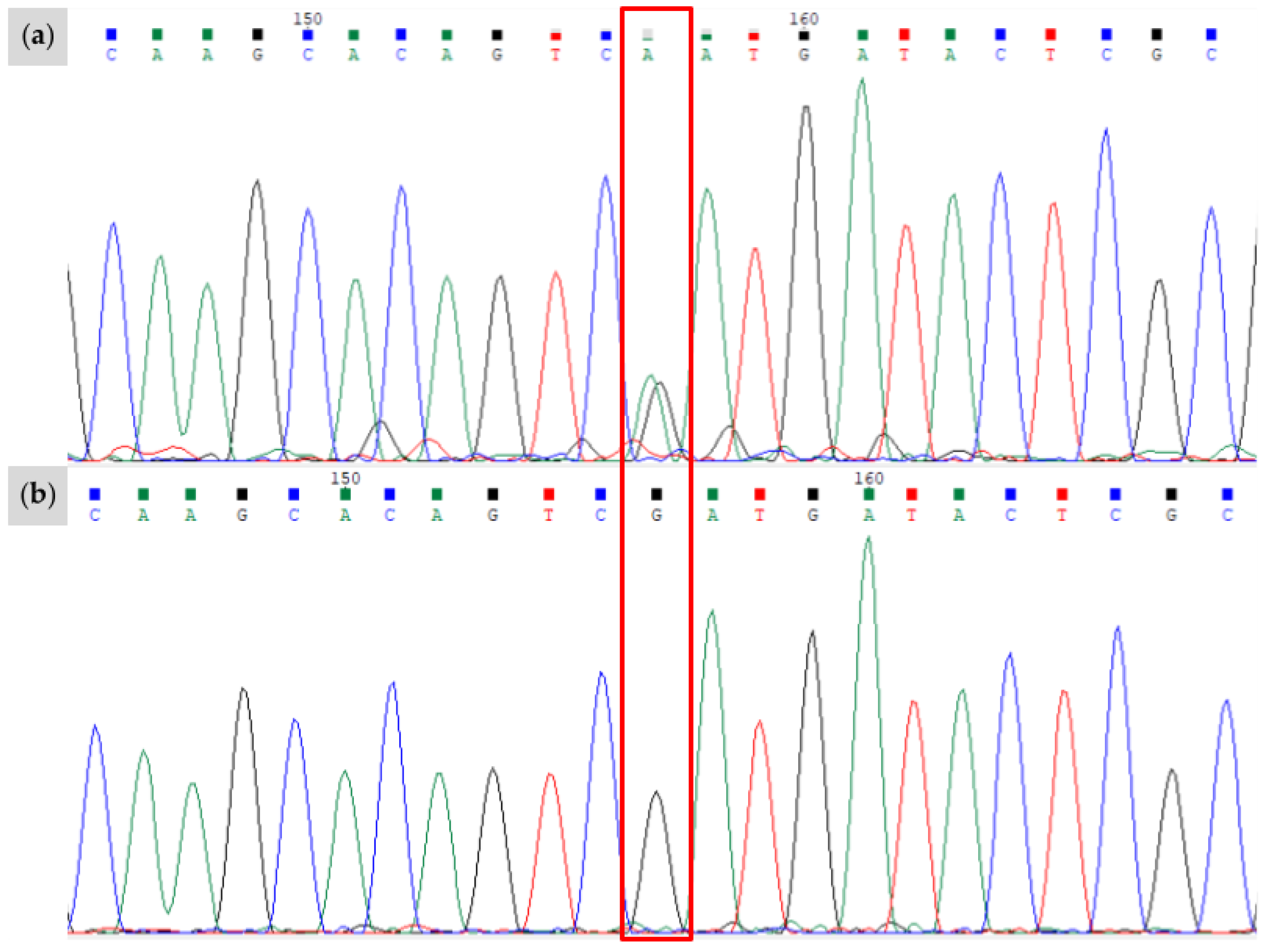 Animals 15 00915 g007