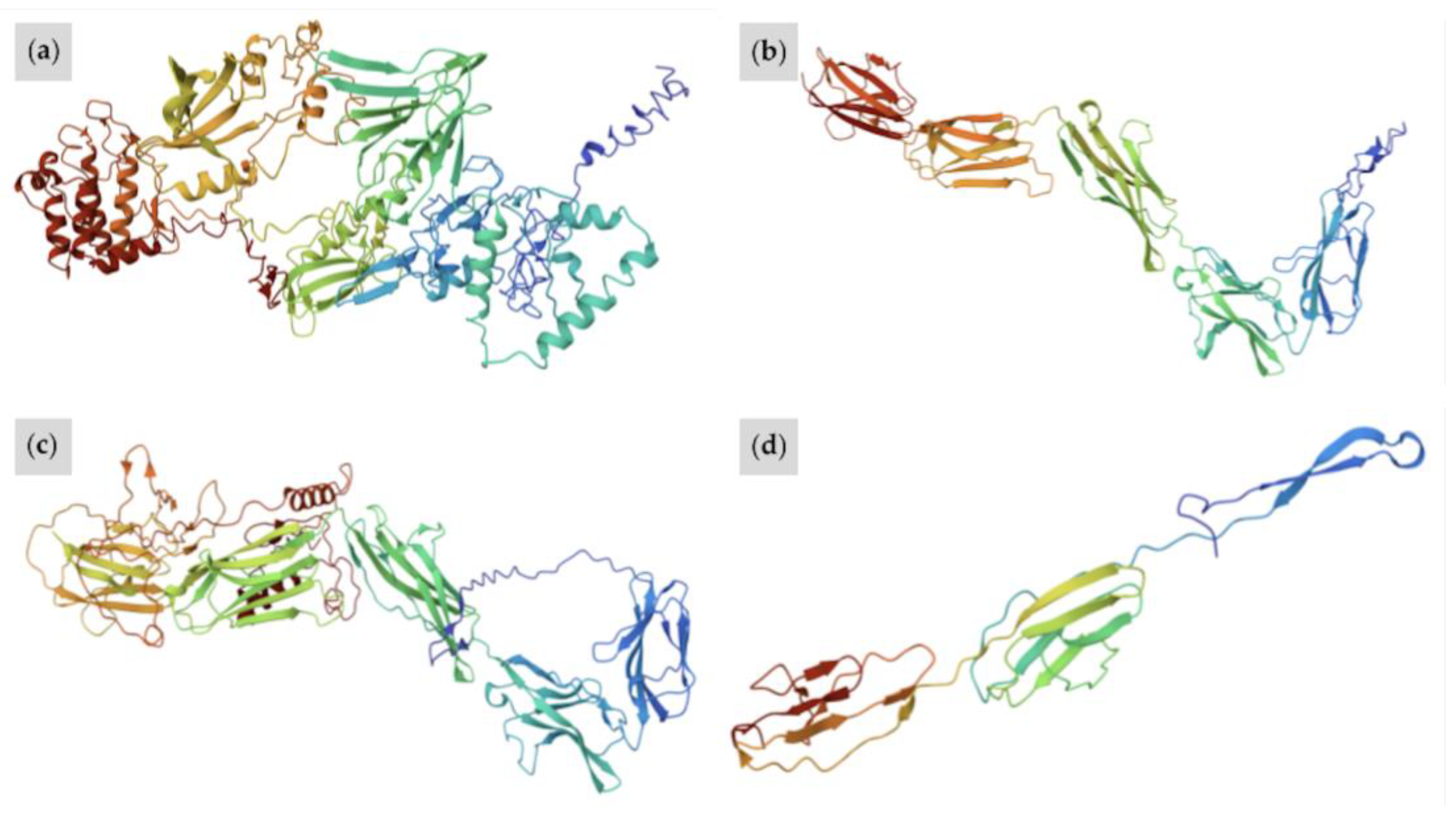 Animals 15 00915 g010