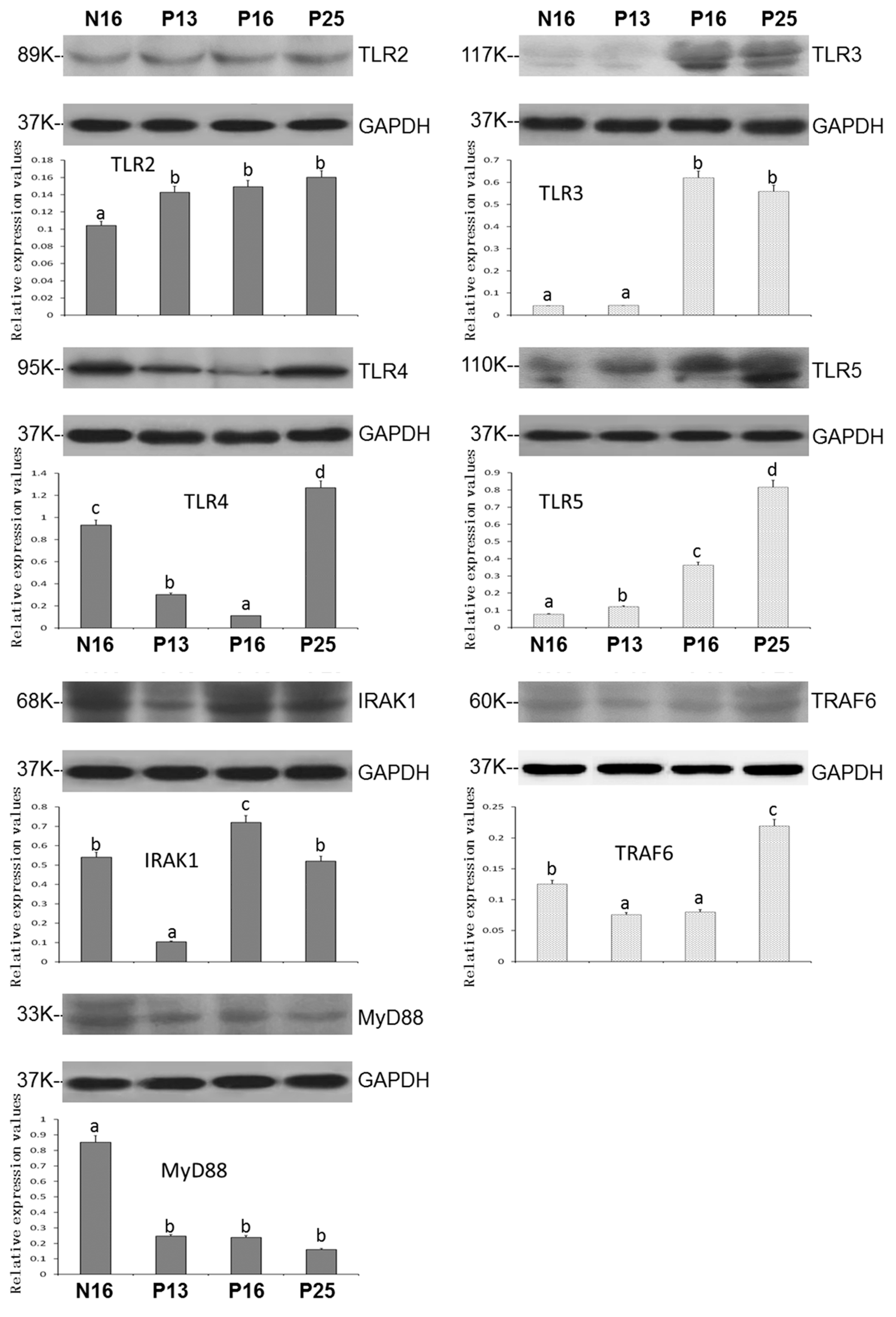 Animals 15 00917 g002