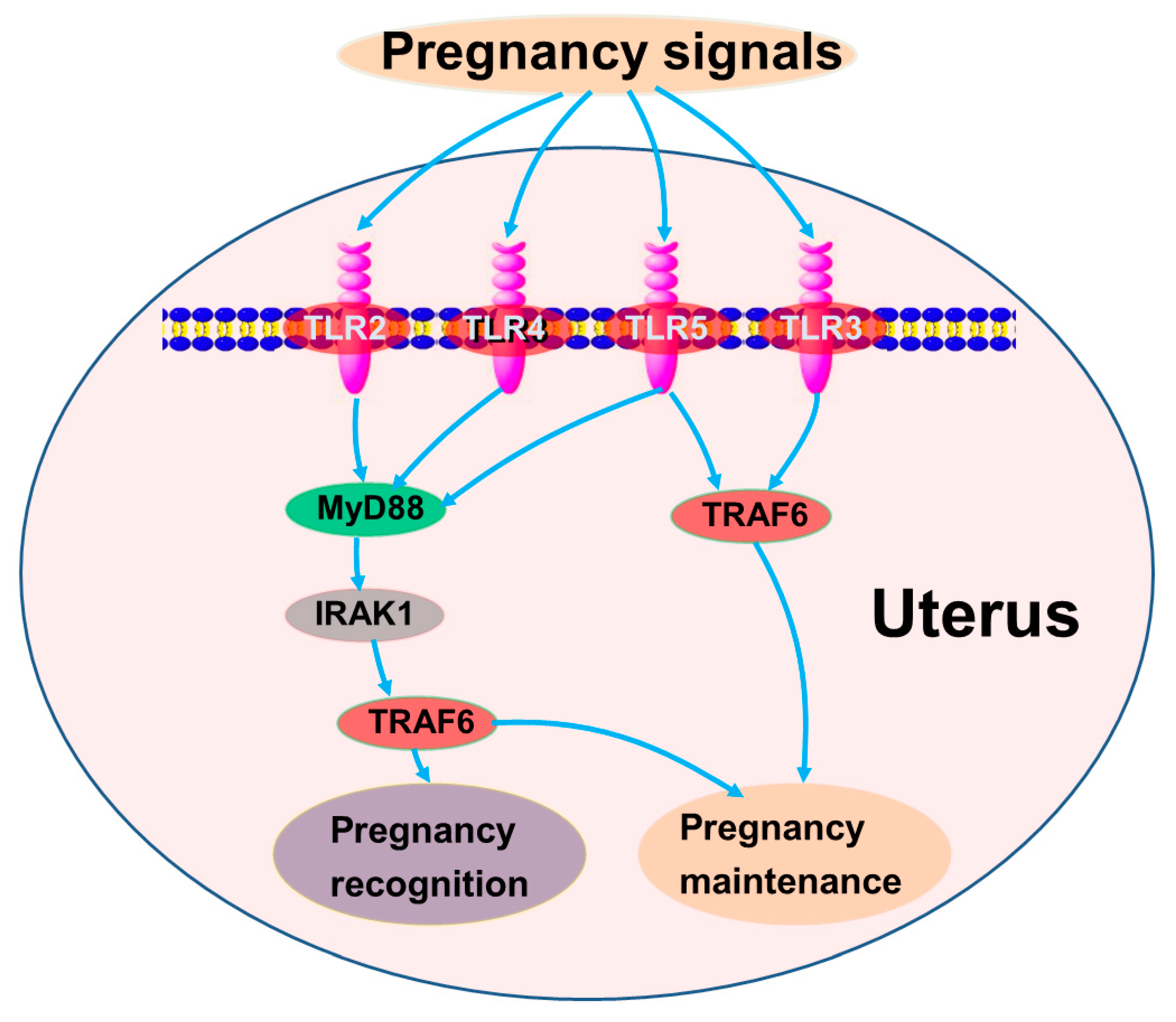 Animals 15 00917 g004