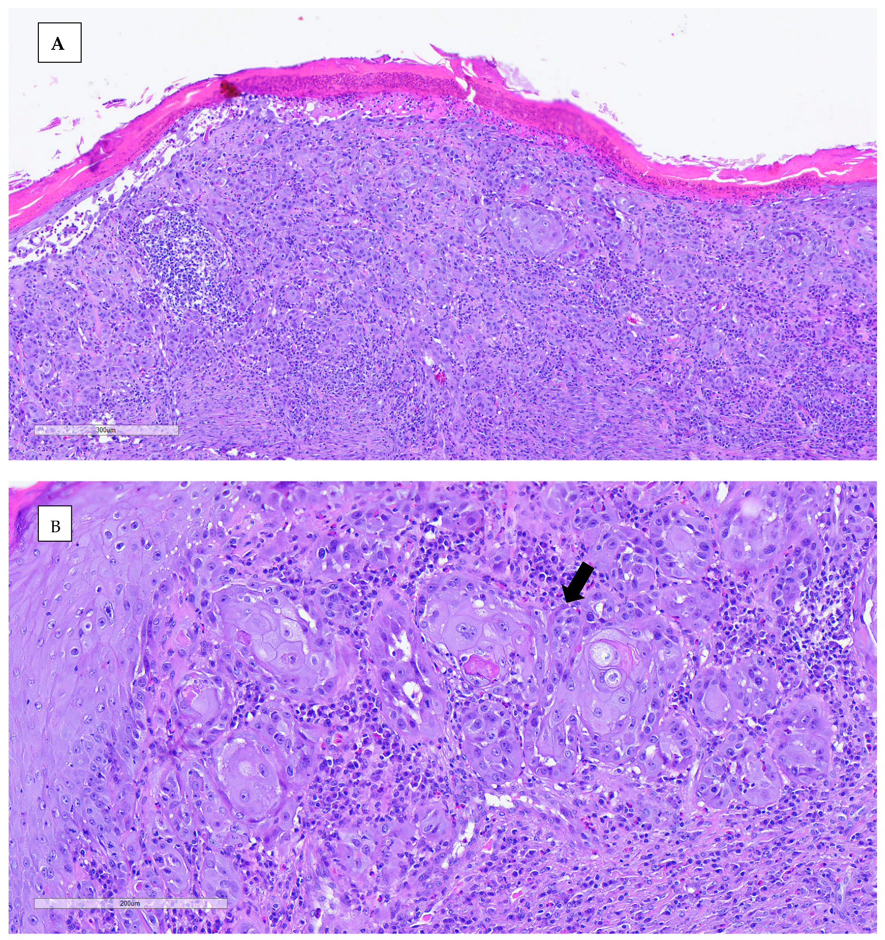 Animals 15 00919 g005a