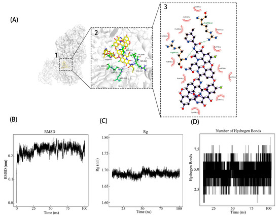 Repurposing Vancomycin as a Potential Antiviral Agent