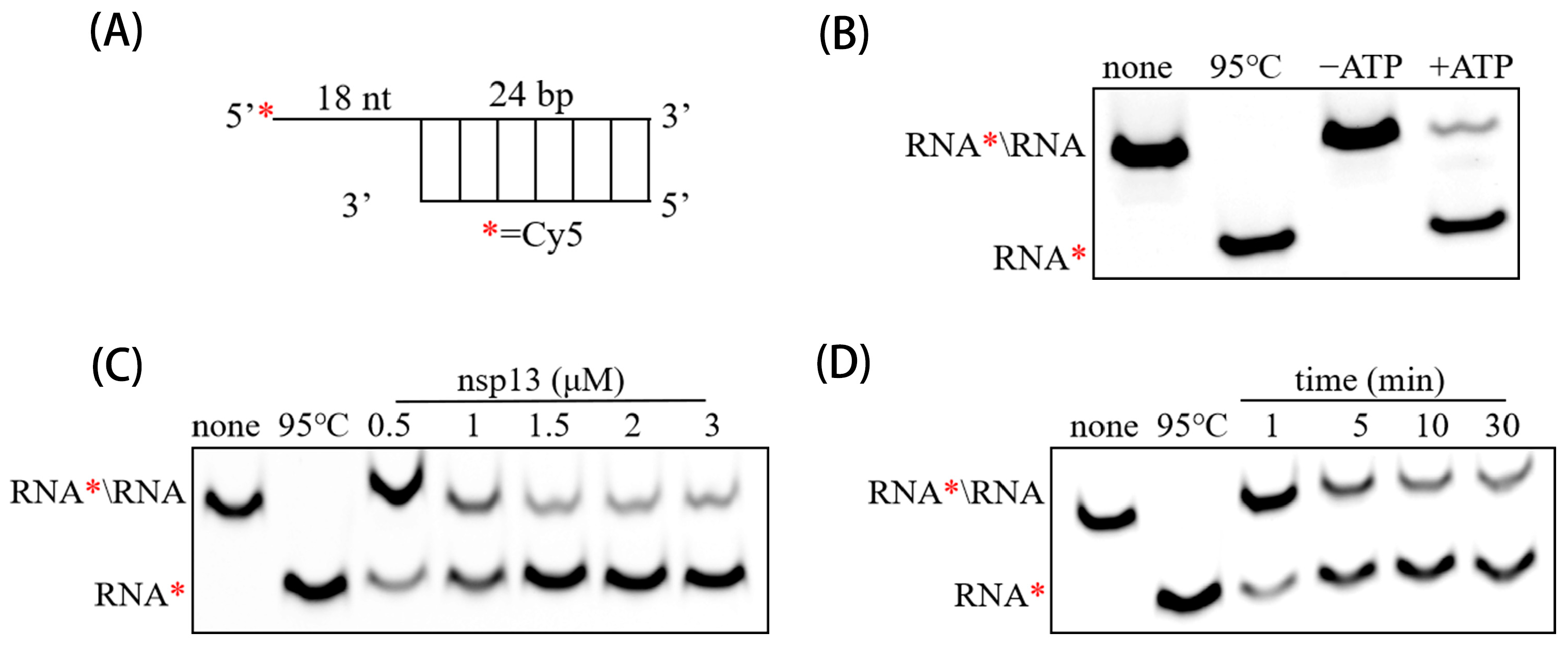 Animals 15 00923 g003