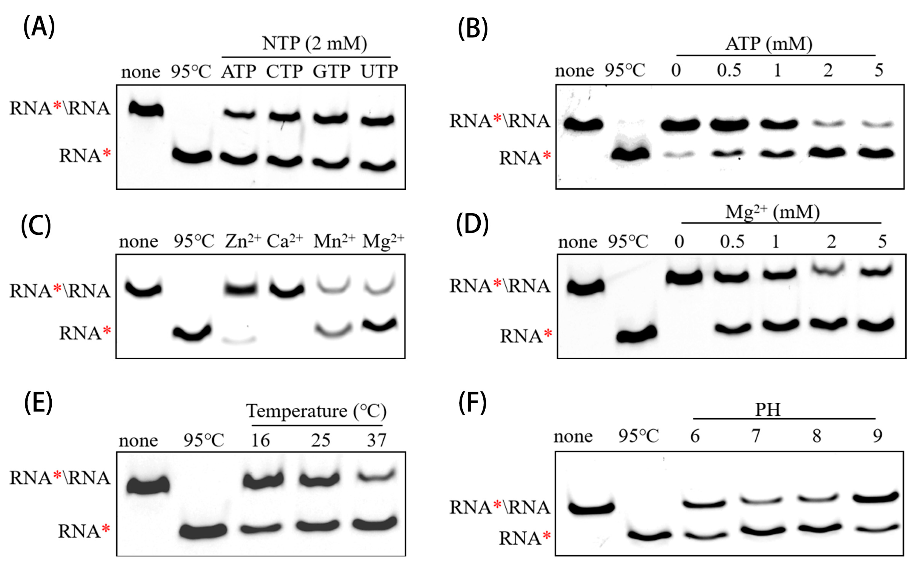 Animals 15 00923 g004