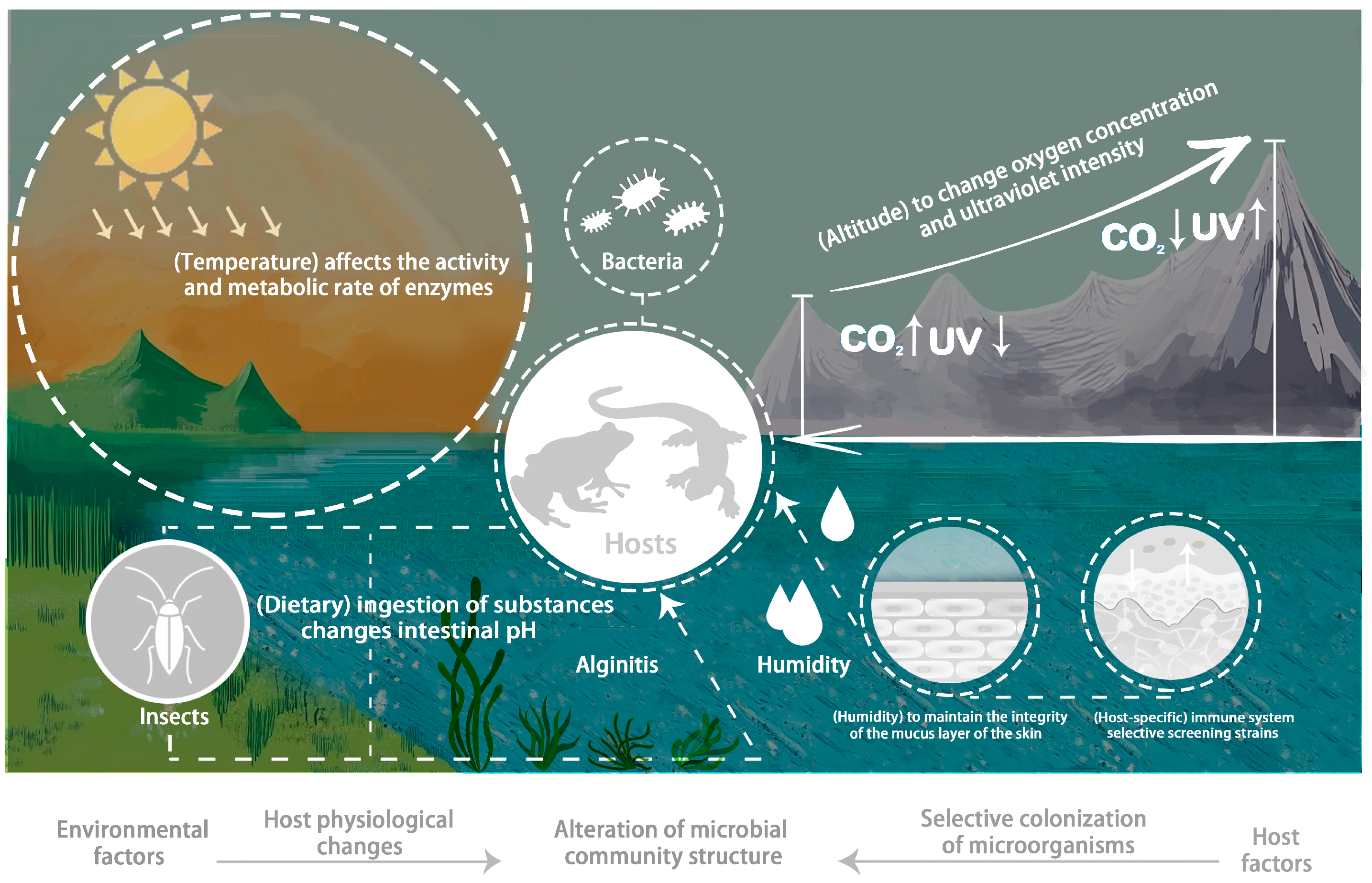 Animals 15 00934 g001