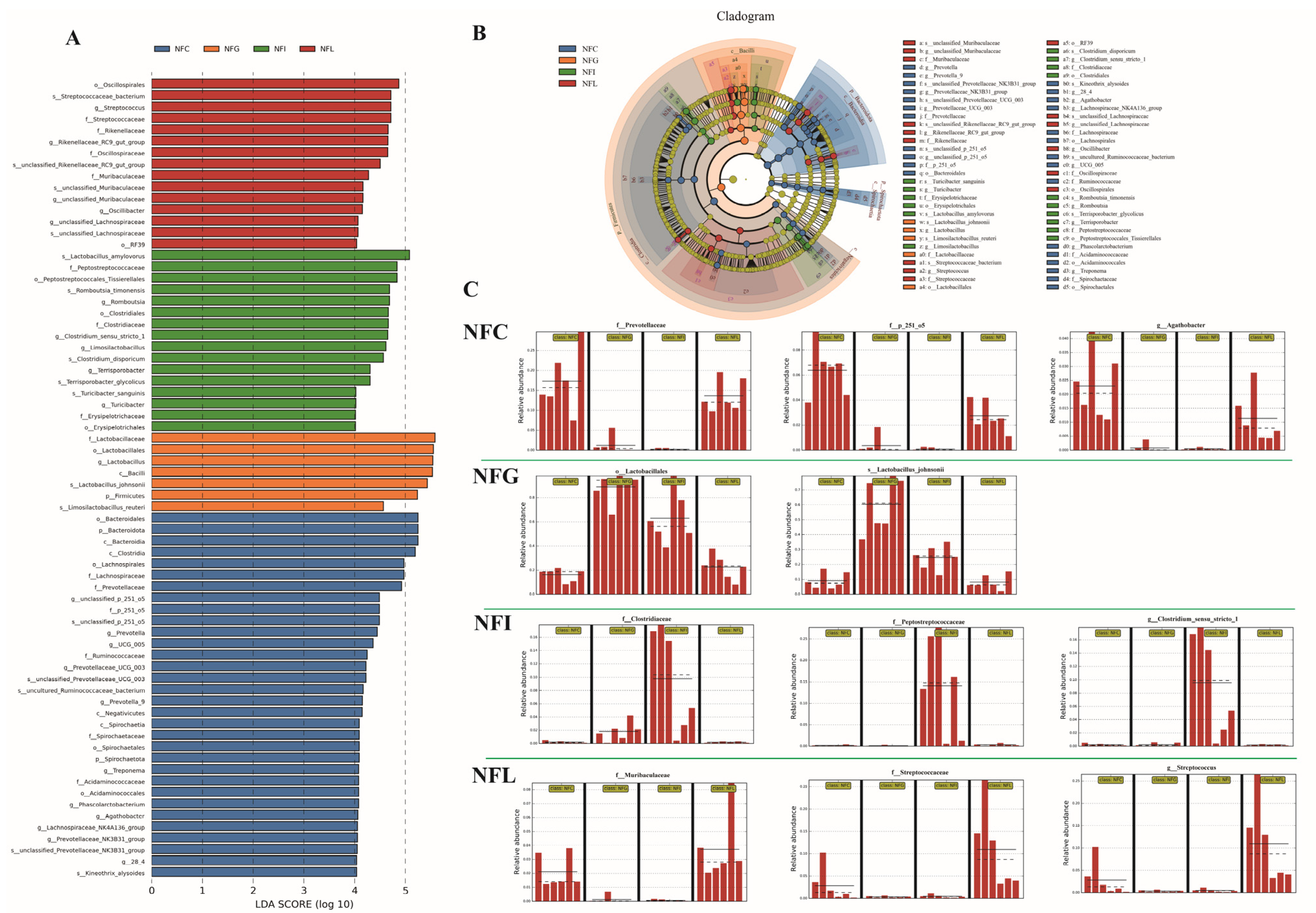 Animals 15 00936 g005