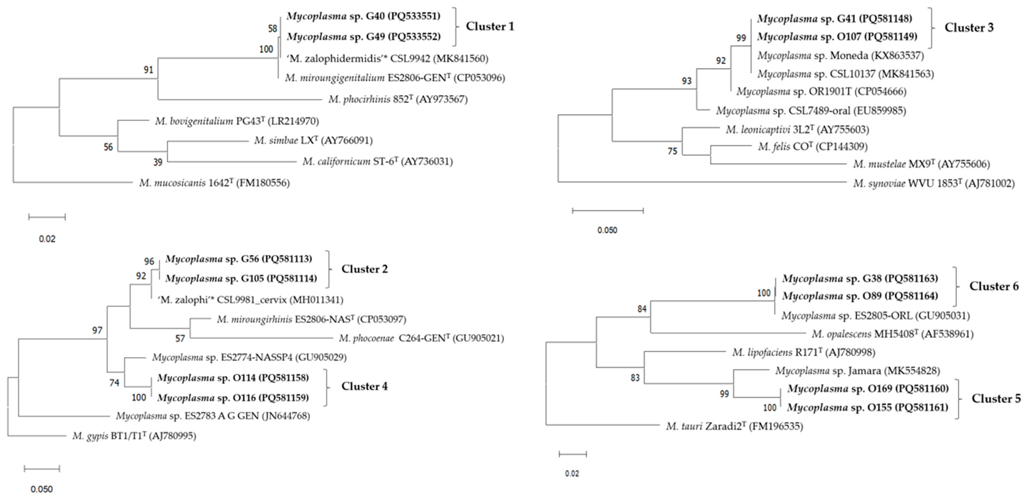 Animals 15 00937 g001 Animals 15 00937 g001