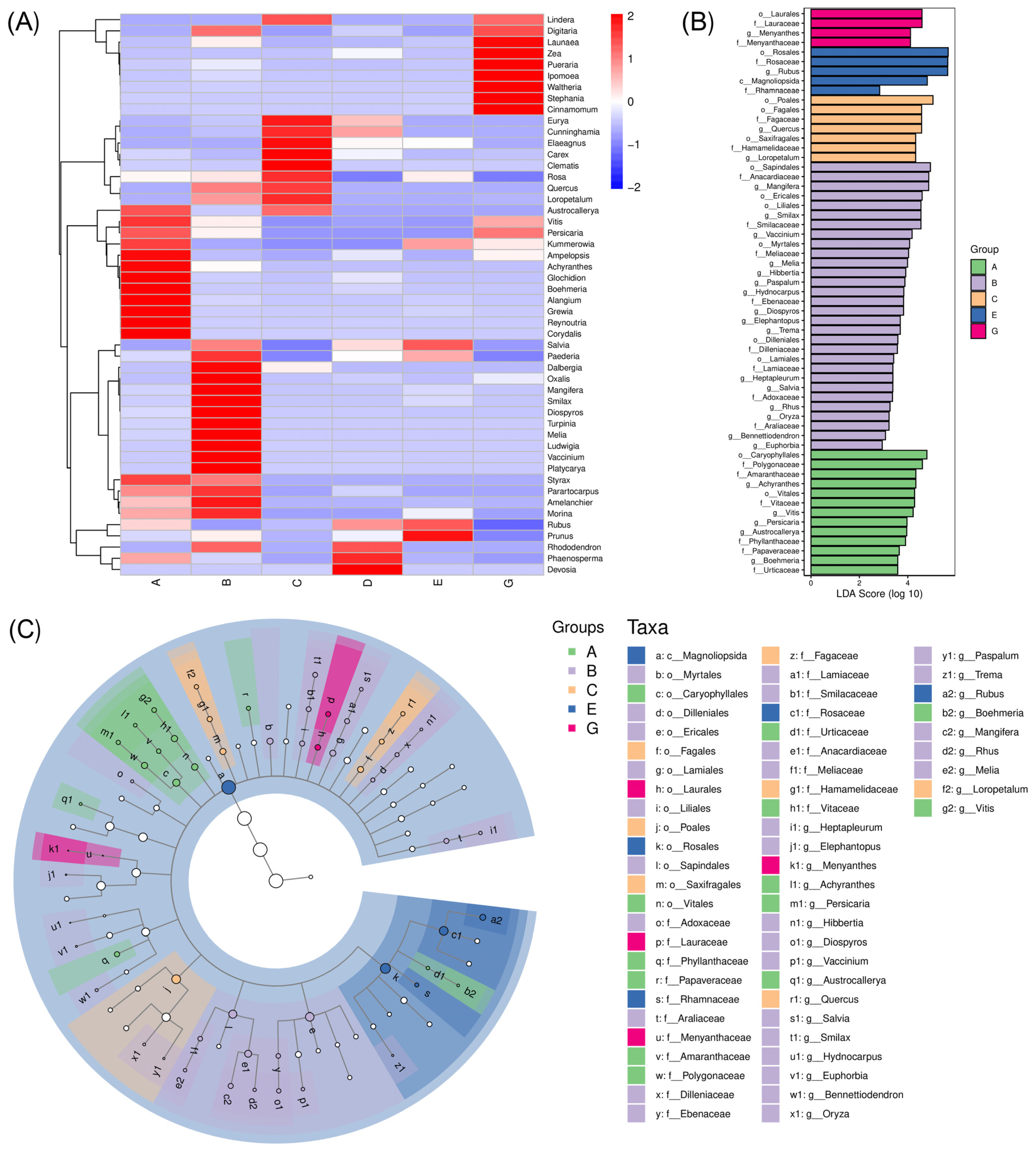 Animals 15 00940 g007