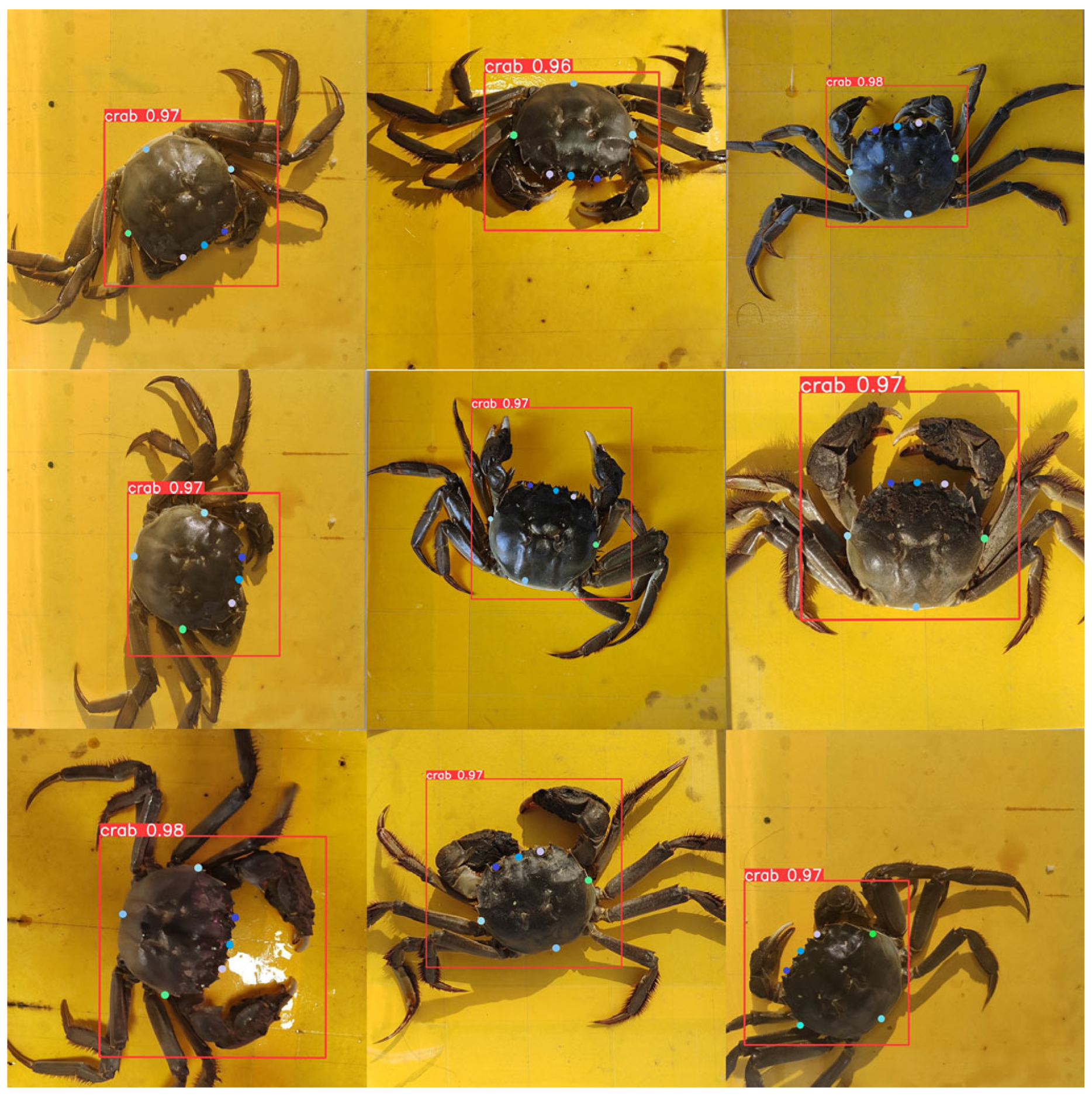 Animals 15 00941 g010