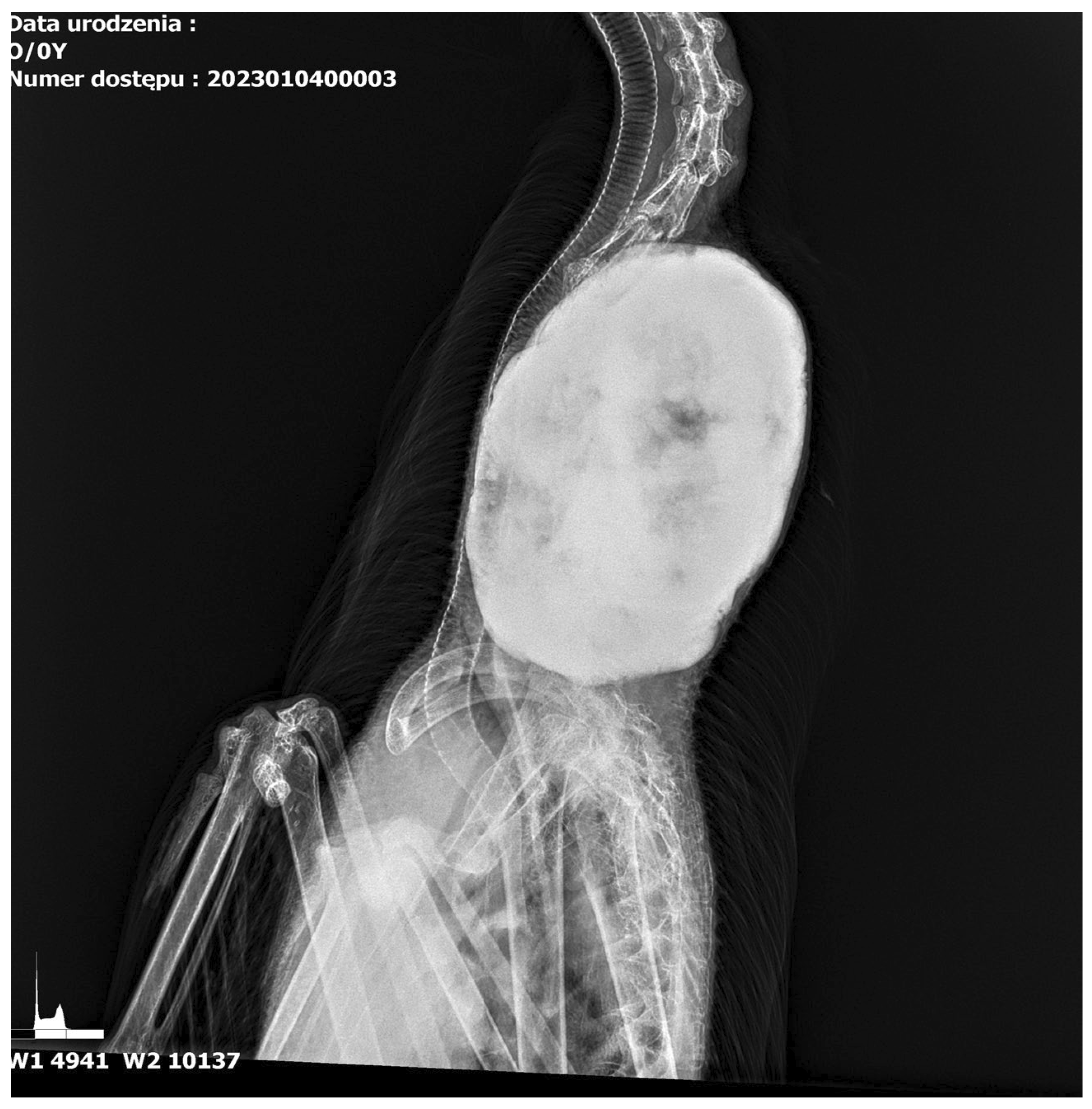 Animals 15 00942 g002 Animals 15 00942 g002