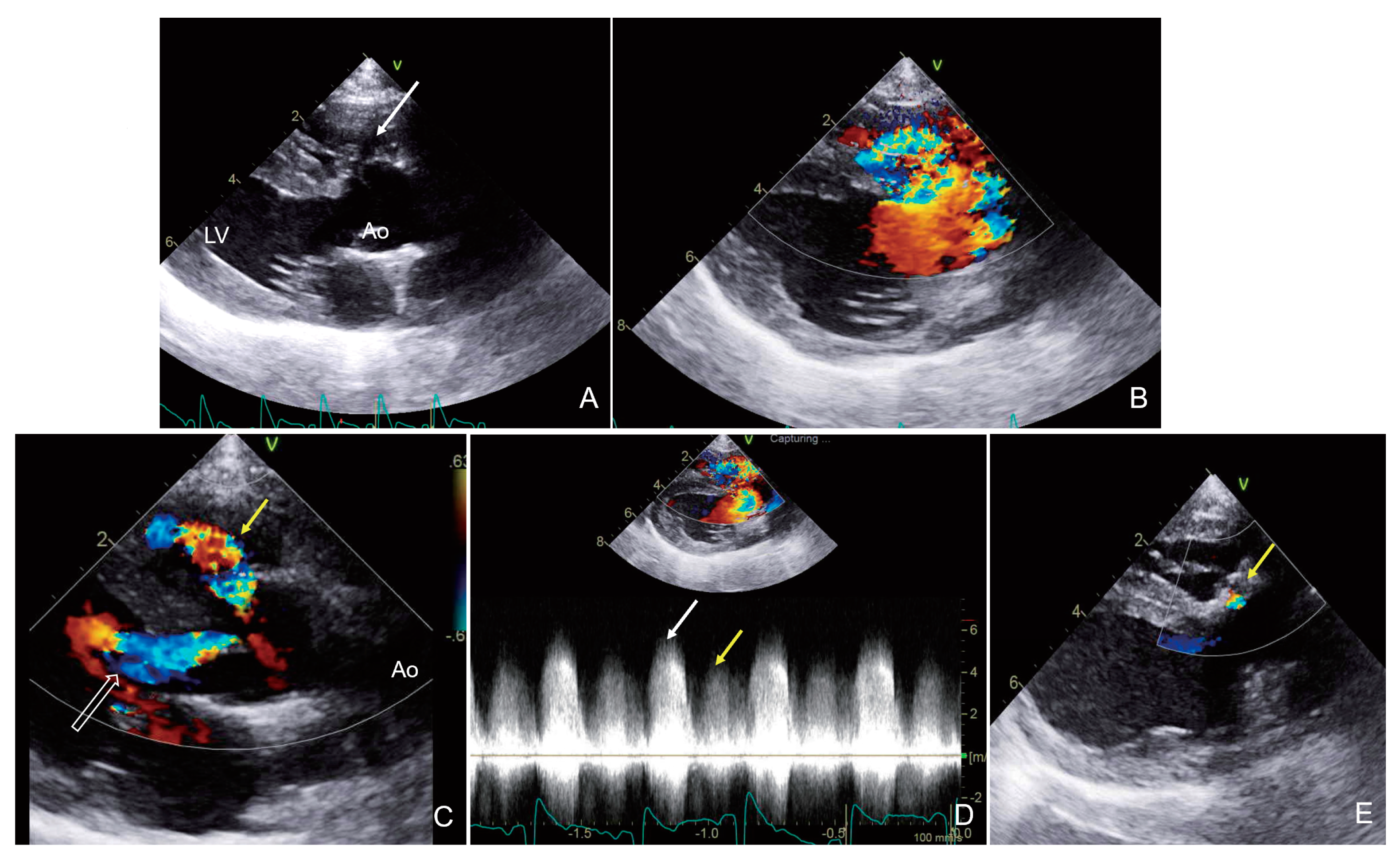 Animals 15 00944 g001