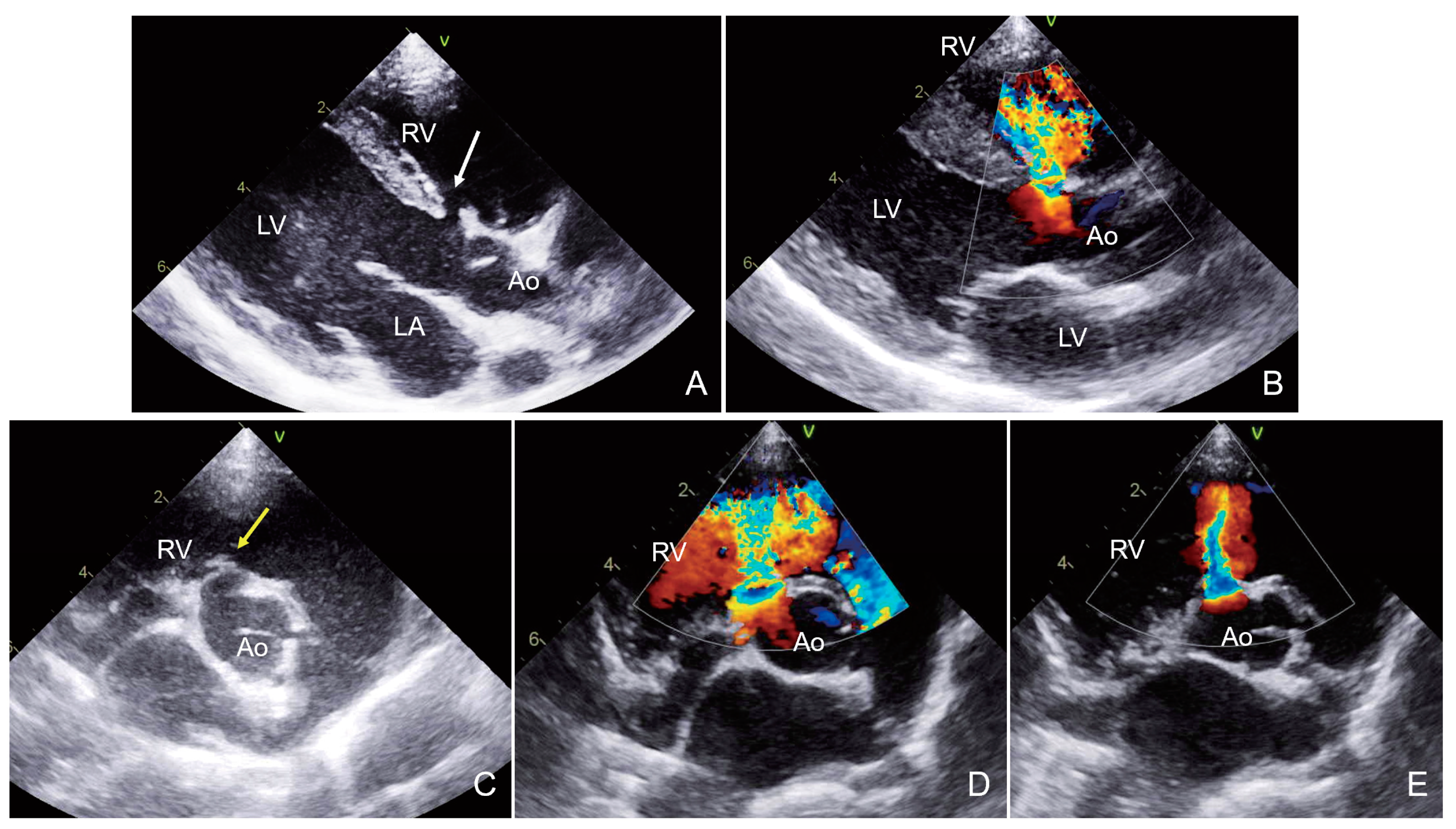 Animals 15 00944 g003