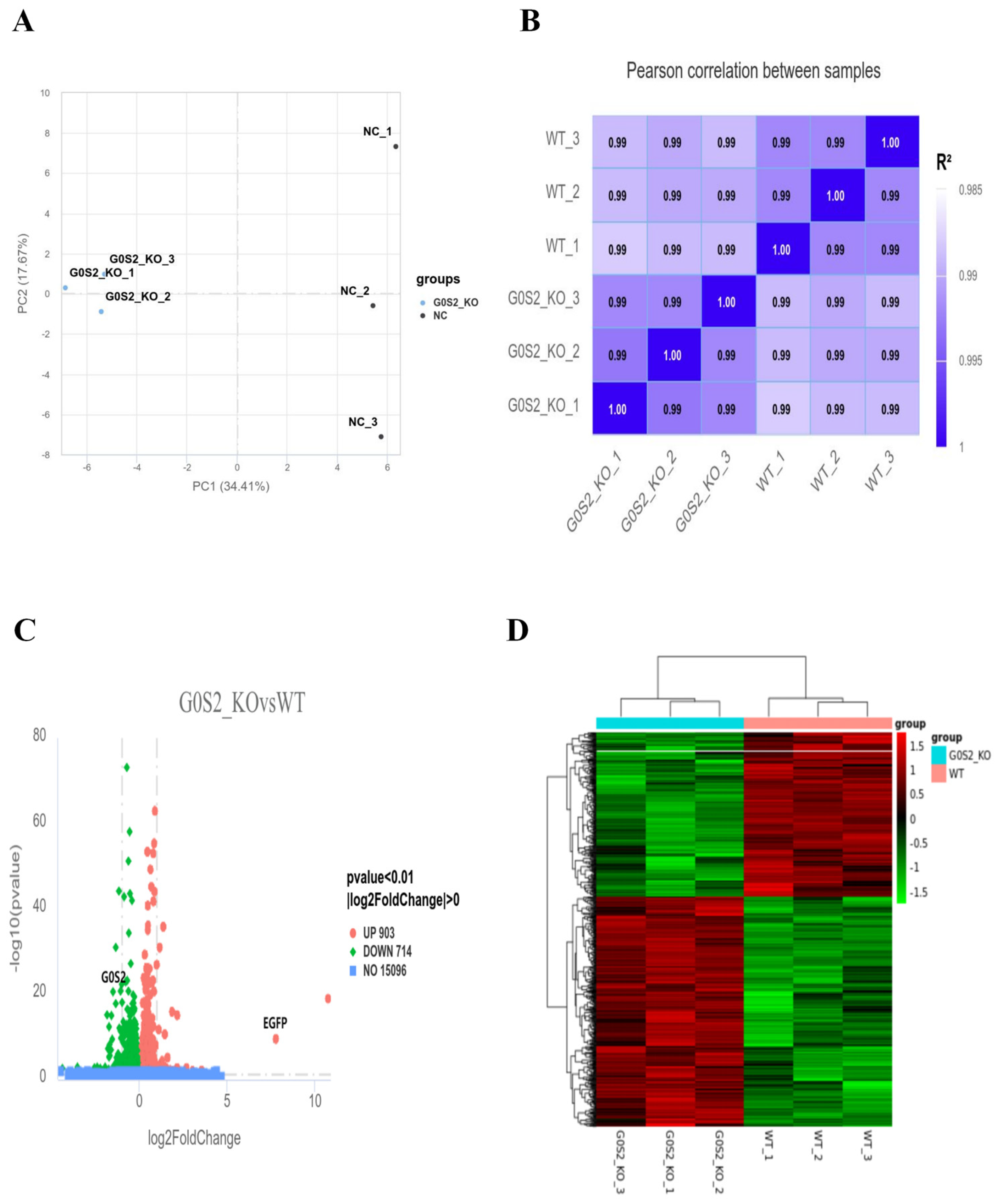 Animals 15 00951 g005
