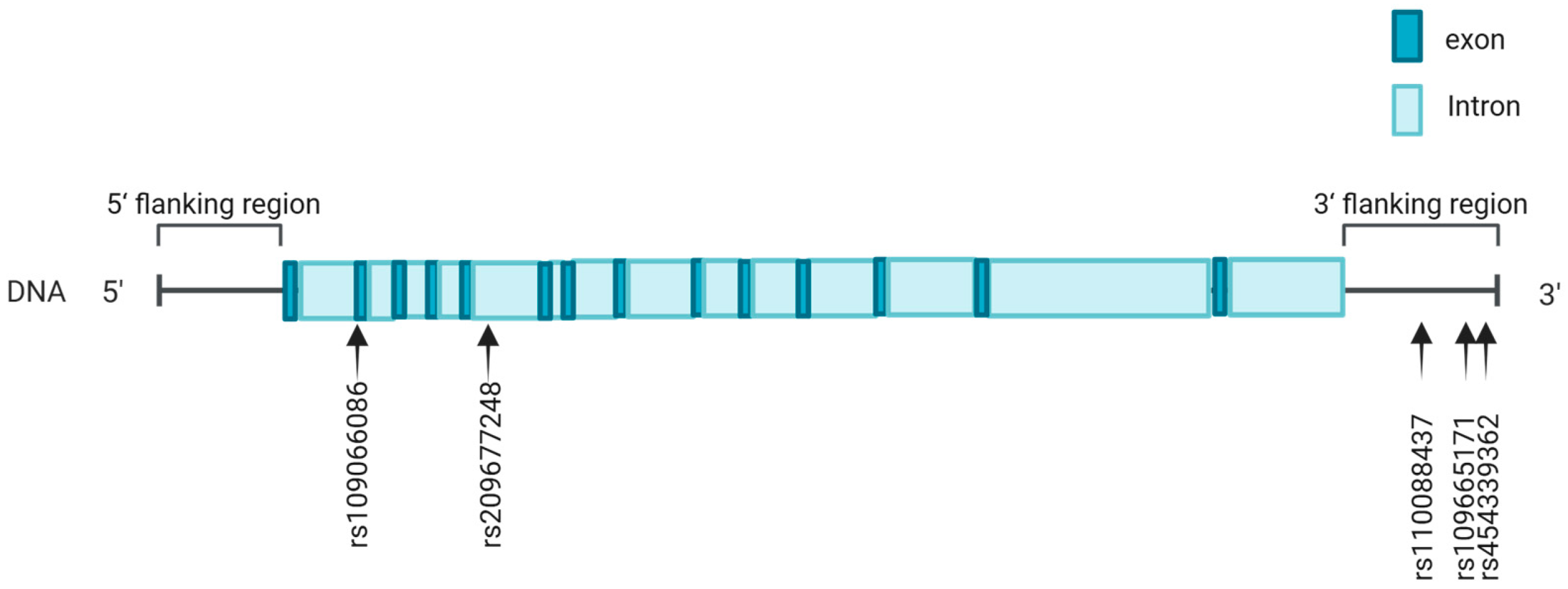 Animals 15 00953 g001