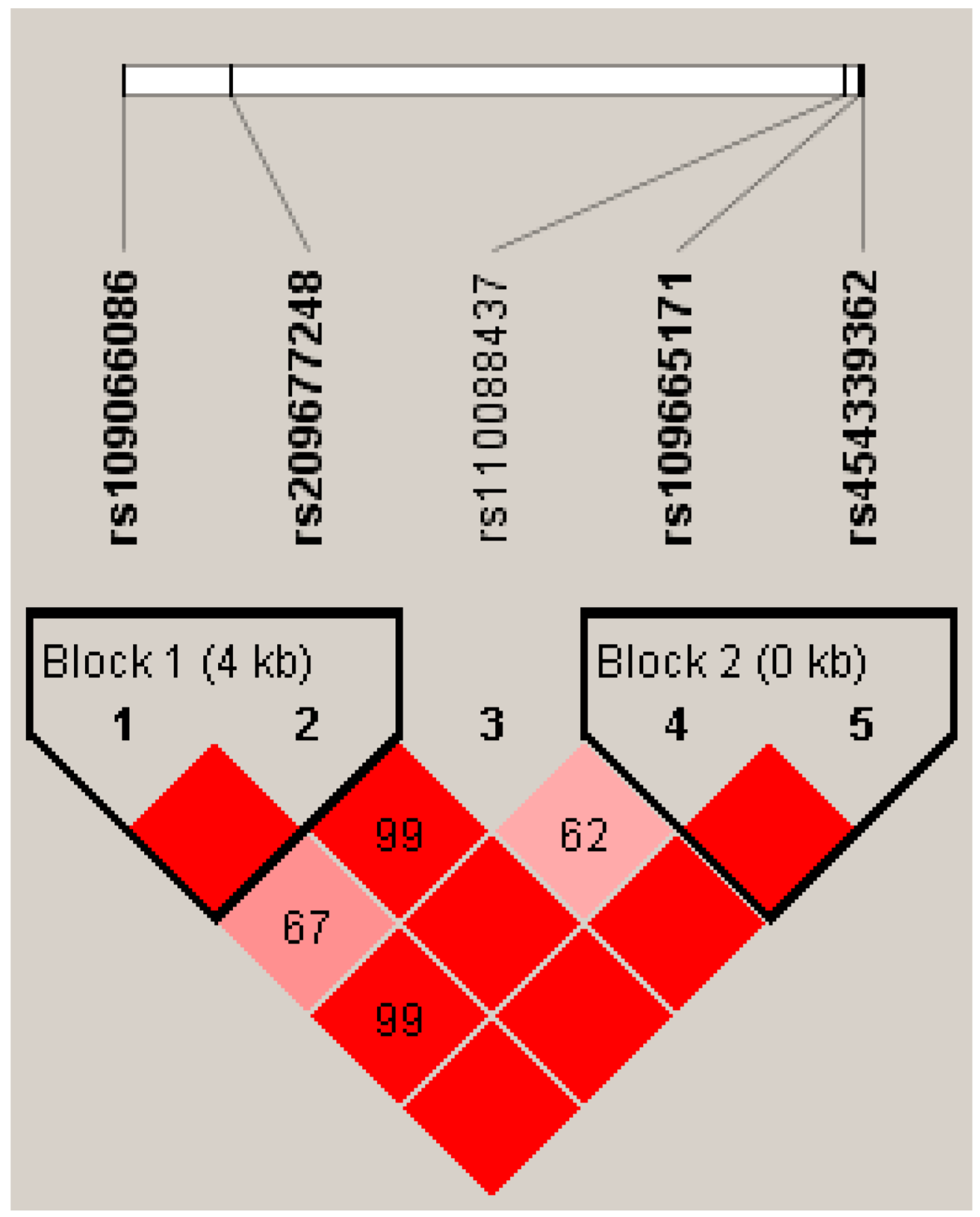 Animals 15 00953 g002